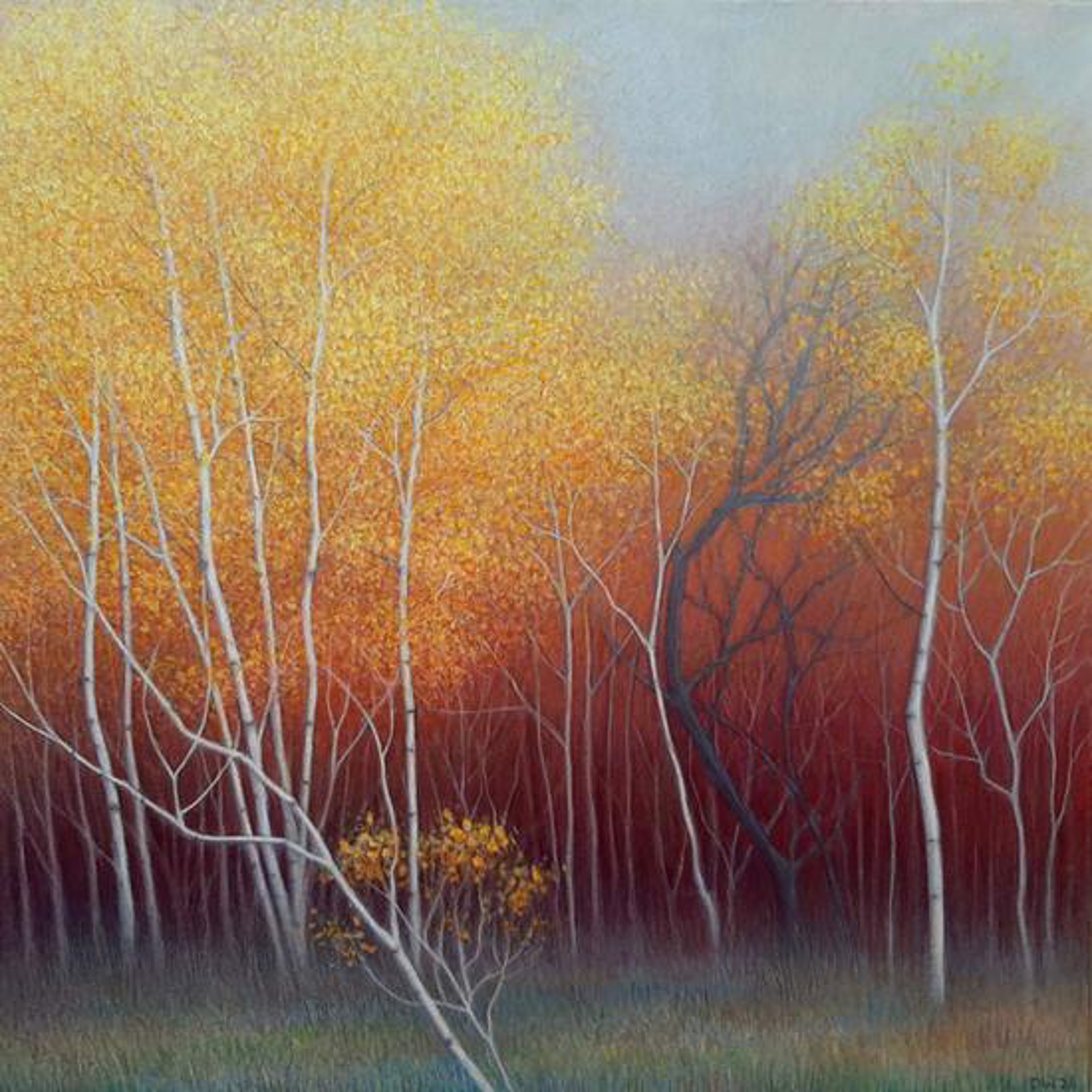 Heart of the Forest by Debbie Wozniak-Bonk
