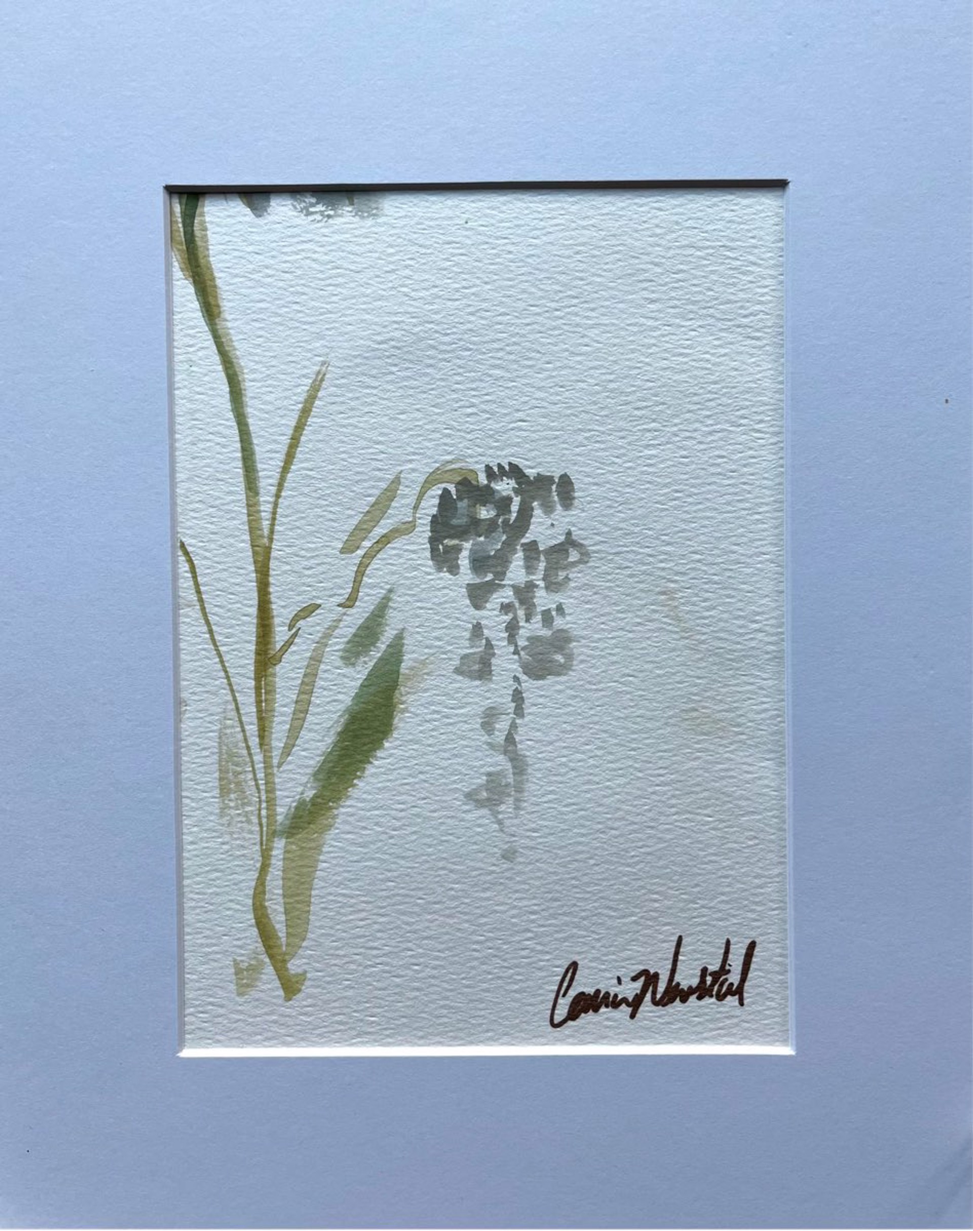 Small Botanical 1 (matted) by Carrie Nenstiel