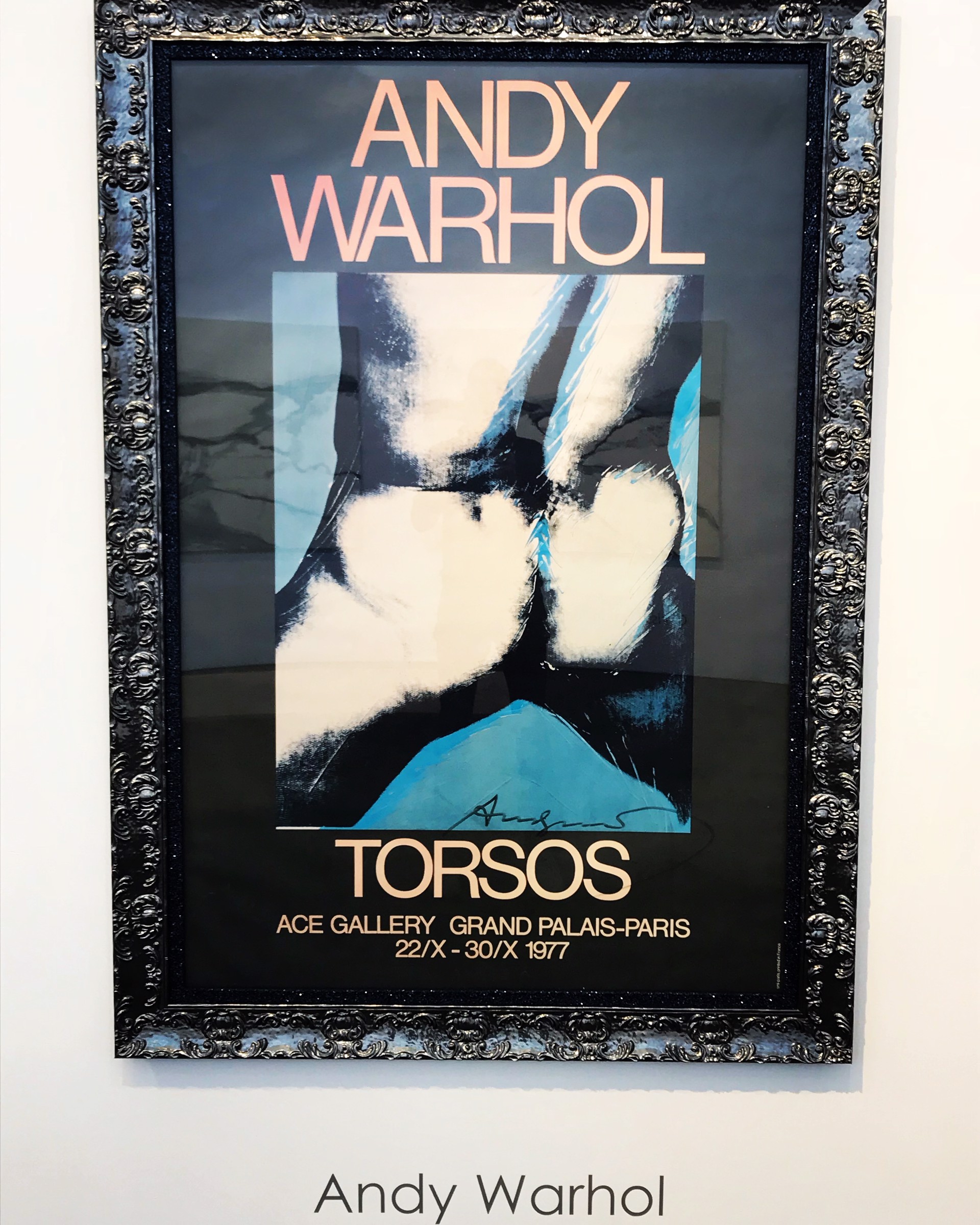 Torsos by Andy Warhol