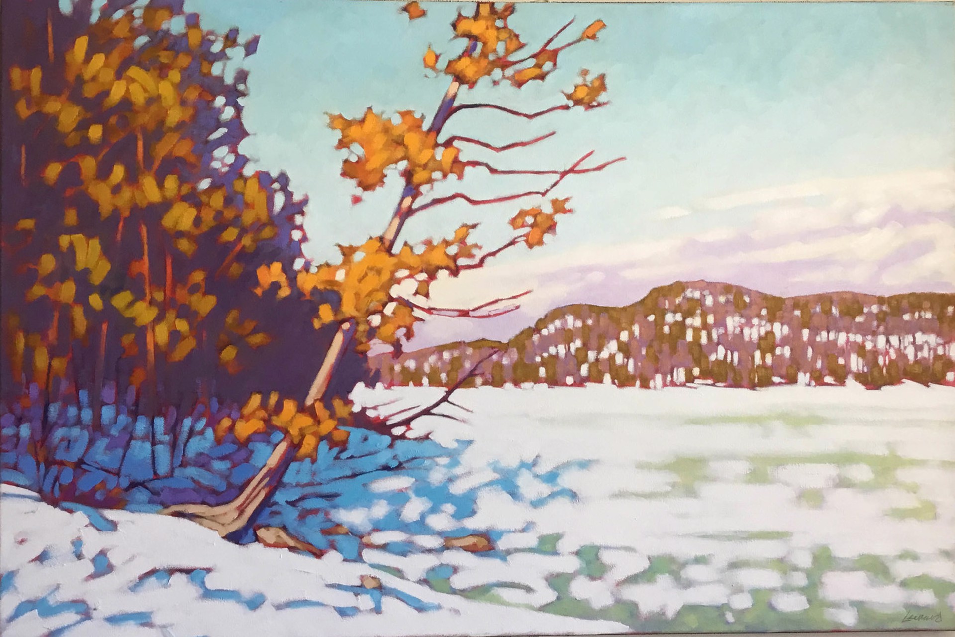 Winter Cedar by John Lennard
