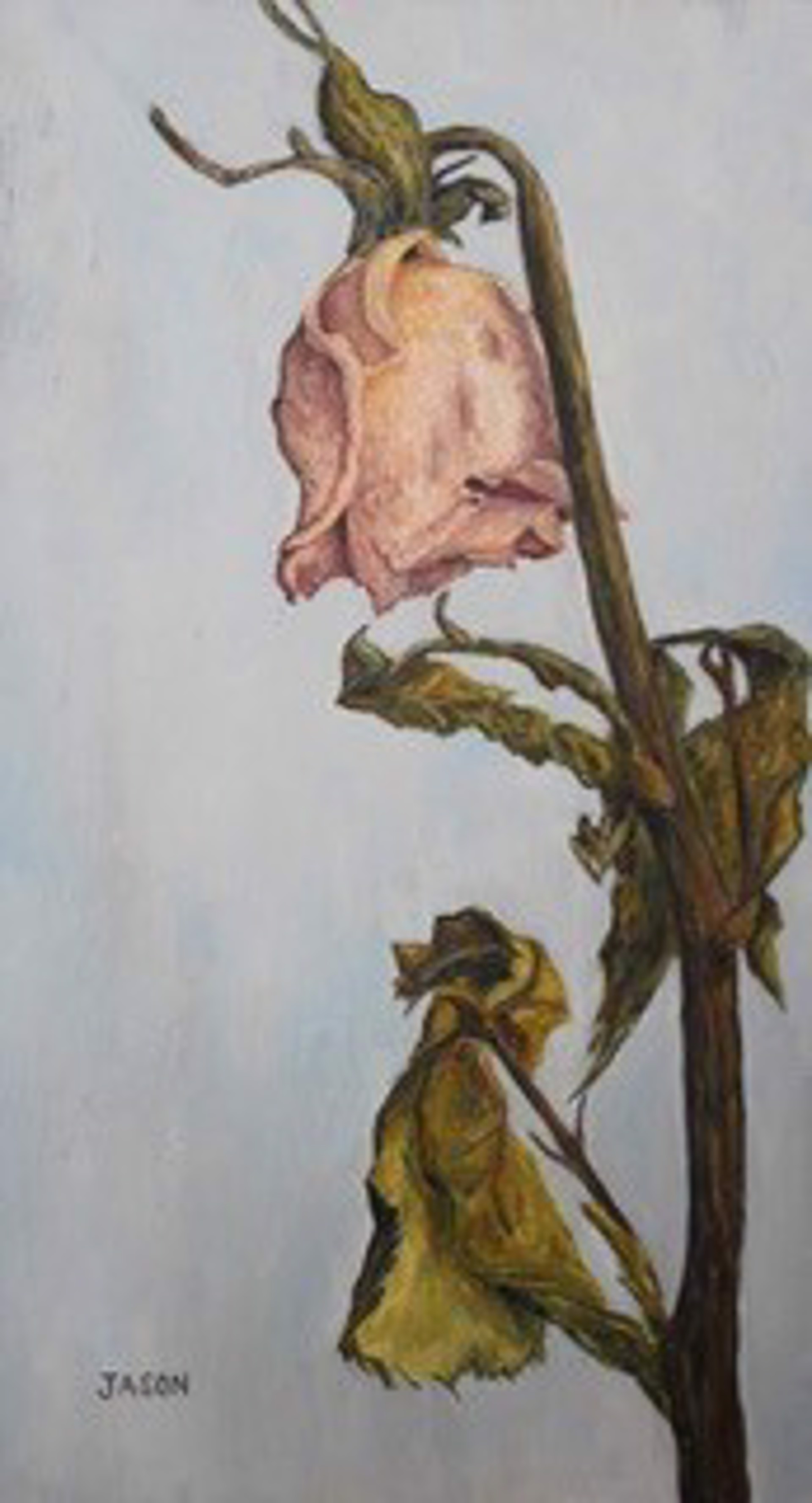 Autumn Rose #2 by Jason Berrier (Newberg, OR)