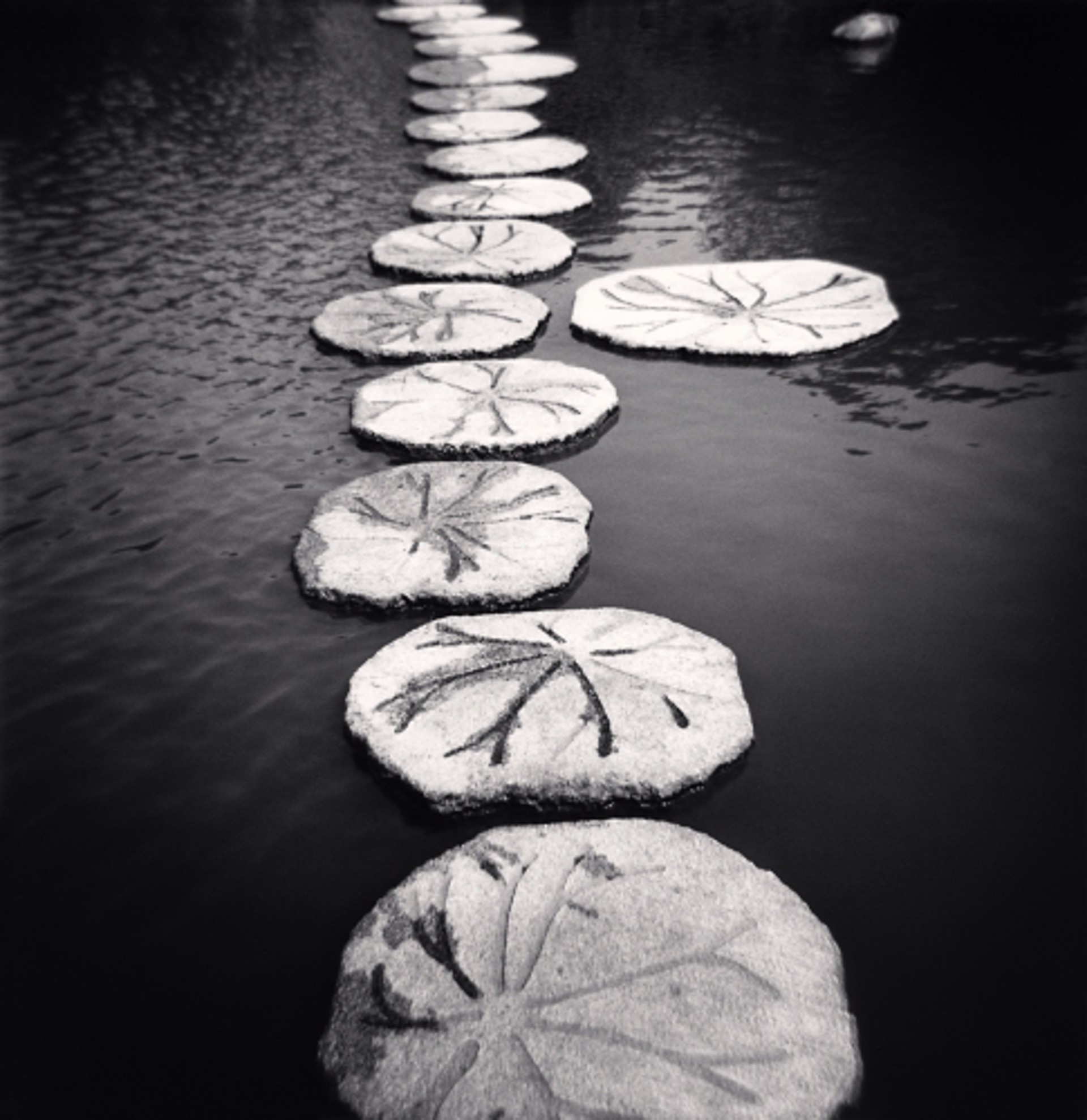 Stepping Stones, Marugame, Shikoku (edition of 25) by Michael Kenna
