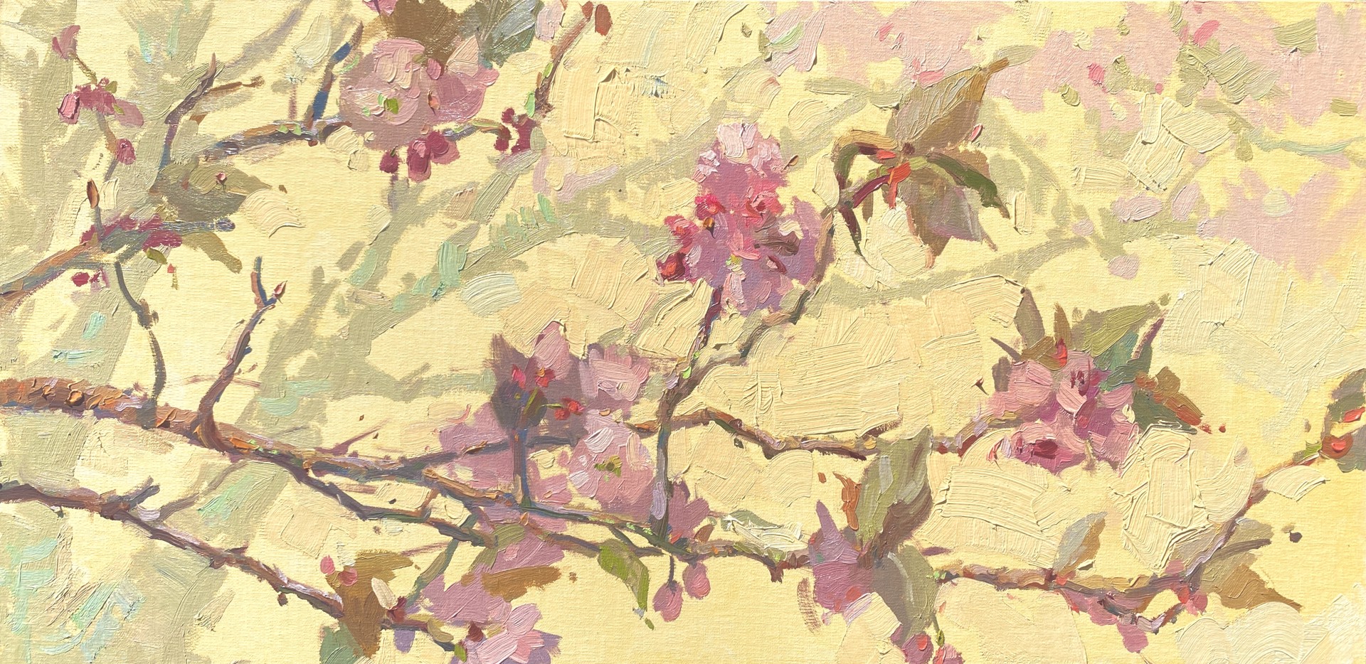 Japanese Cherry Blossoms by Suzie Baker