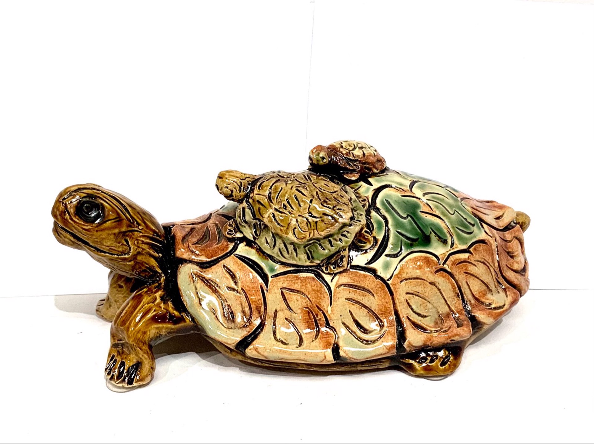 Turtle by Judy Brater