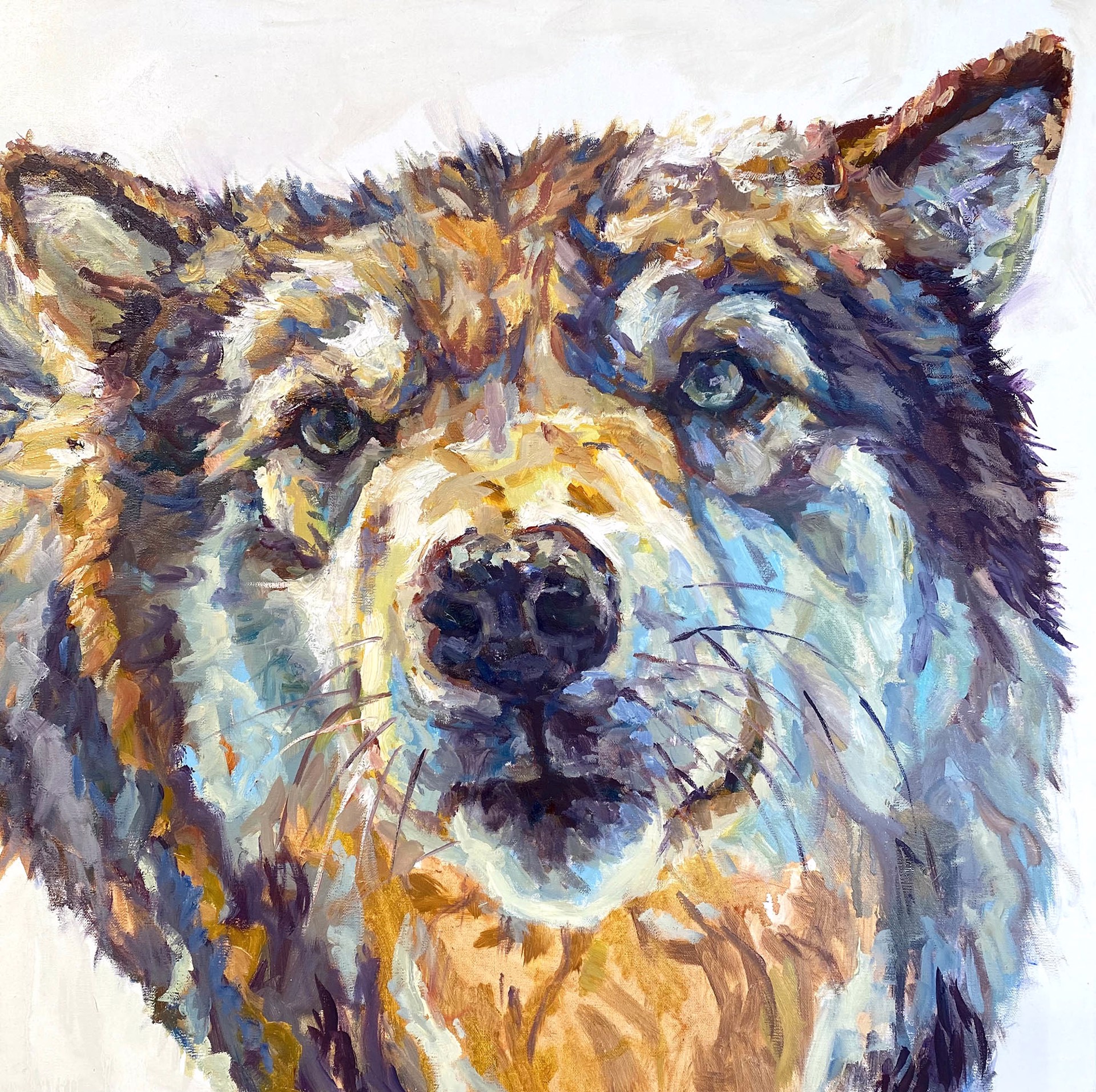 Original Oil Painting Featuring A Wolf Portrait On White Background
