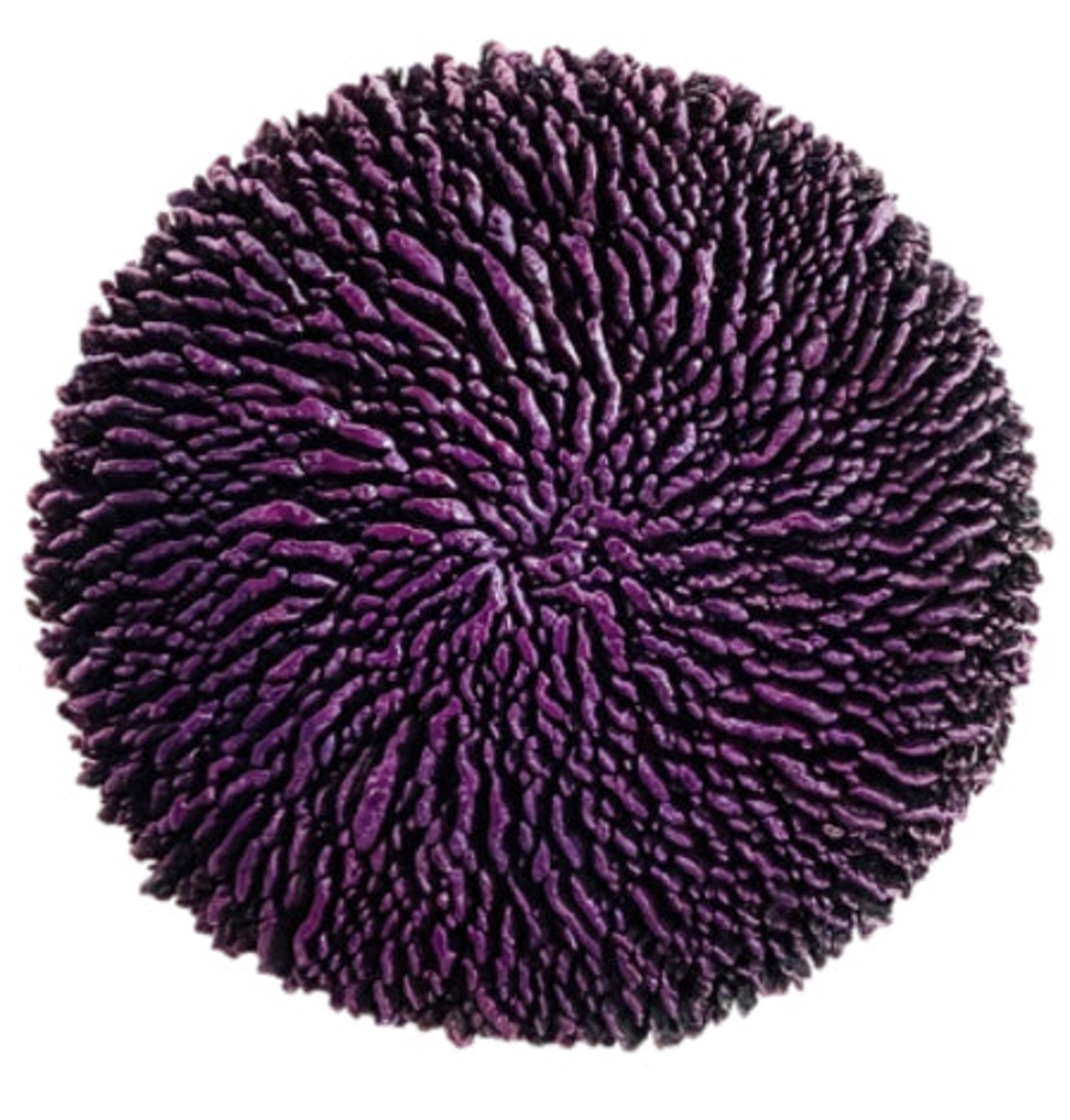 RRT (Meaning: Black Hole), 2021 (Purple 30") by Lerone Wilson