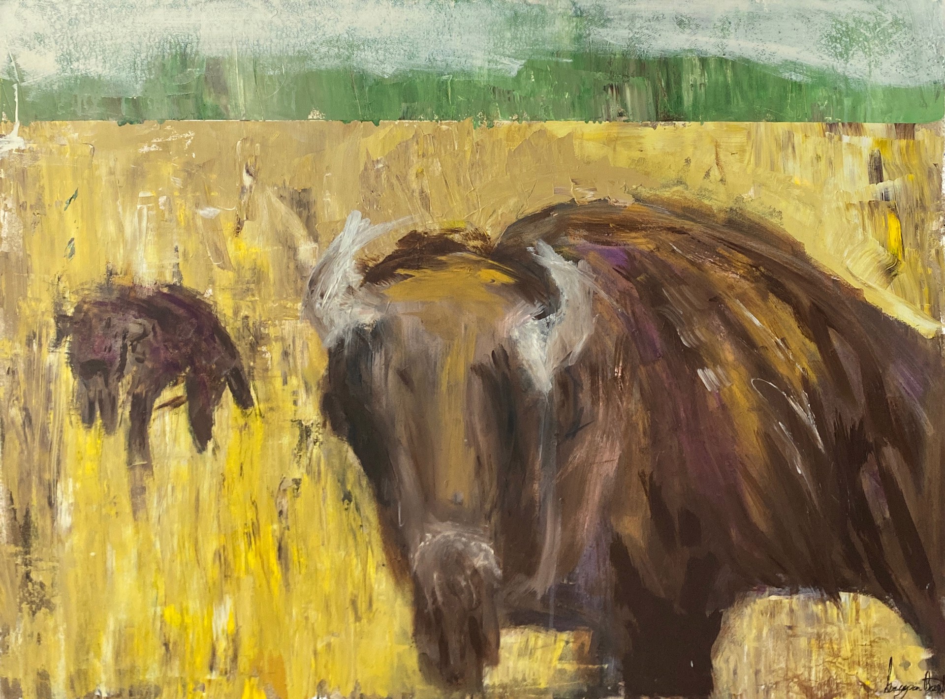 Two Buffalos by Grayson Barrett