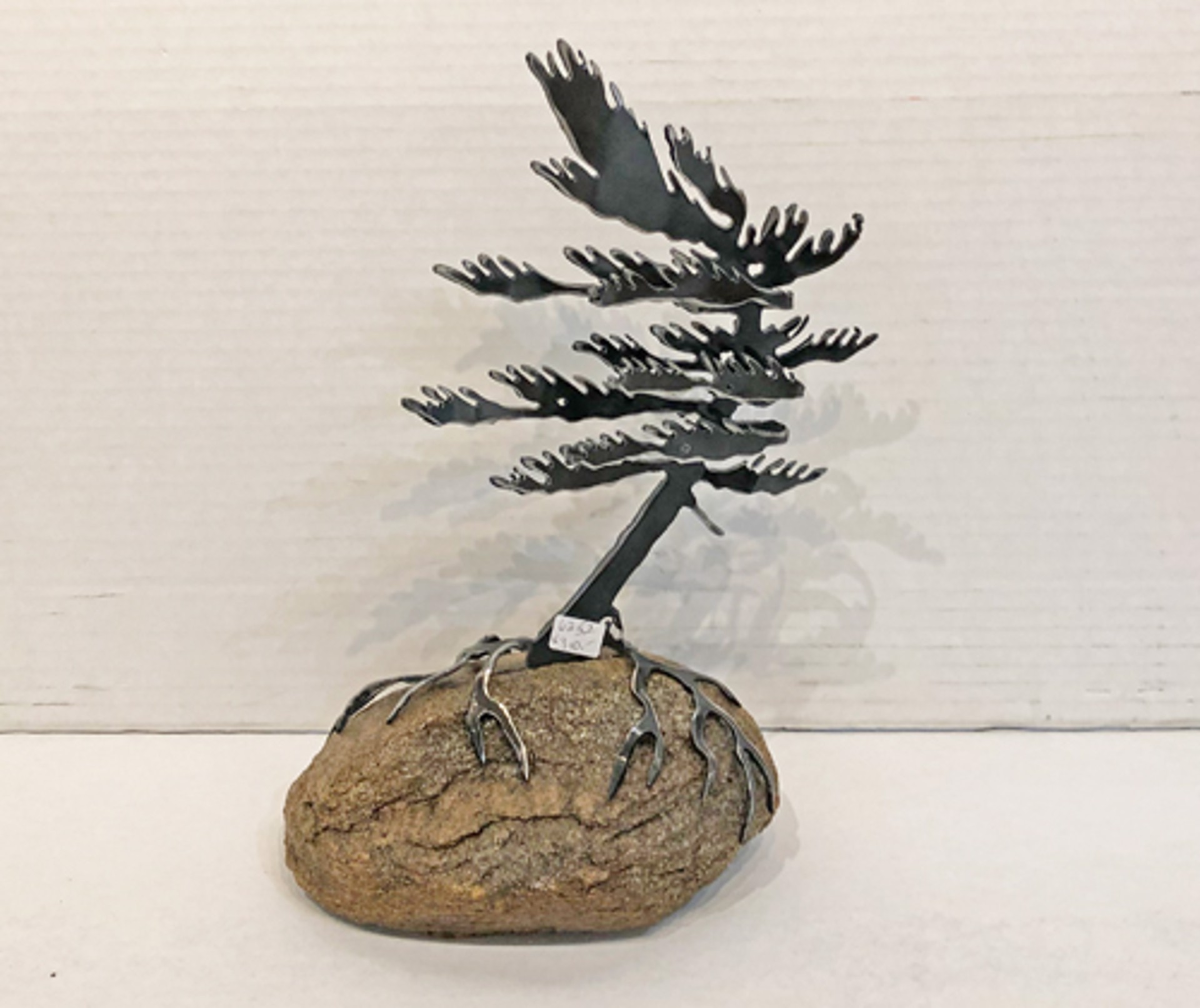 Windswept Pine - 6252 by Cathy Mark