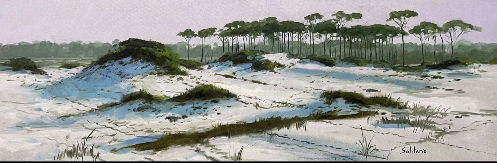 Grayton Beach Pines by Billy Solitario