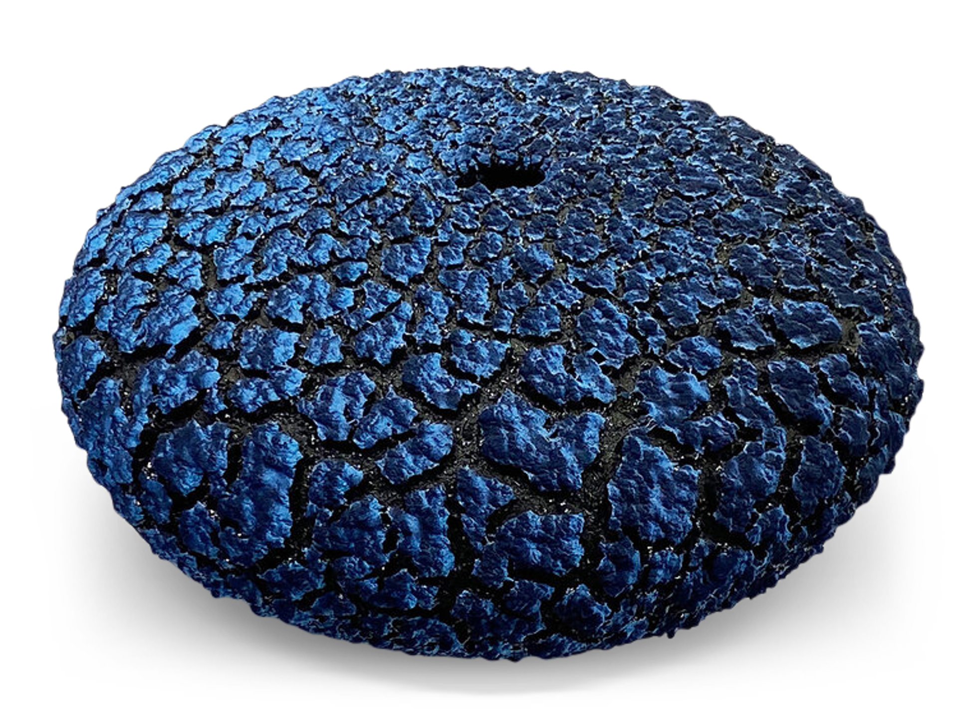 Lichen Vessel ~ Turquoise Blue/Sapphire Blue Available Now (Other colors may be available or call for current availably) by Randy O'Brien