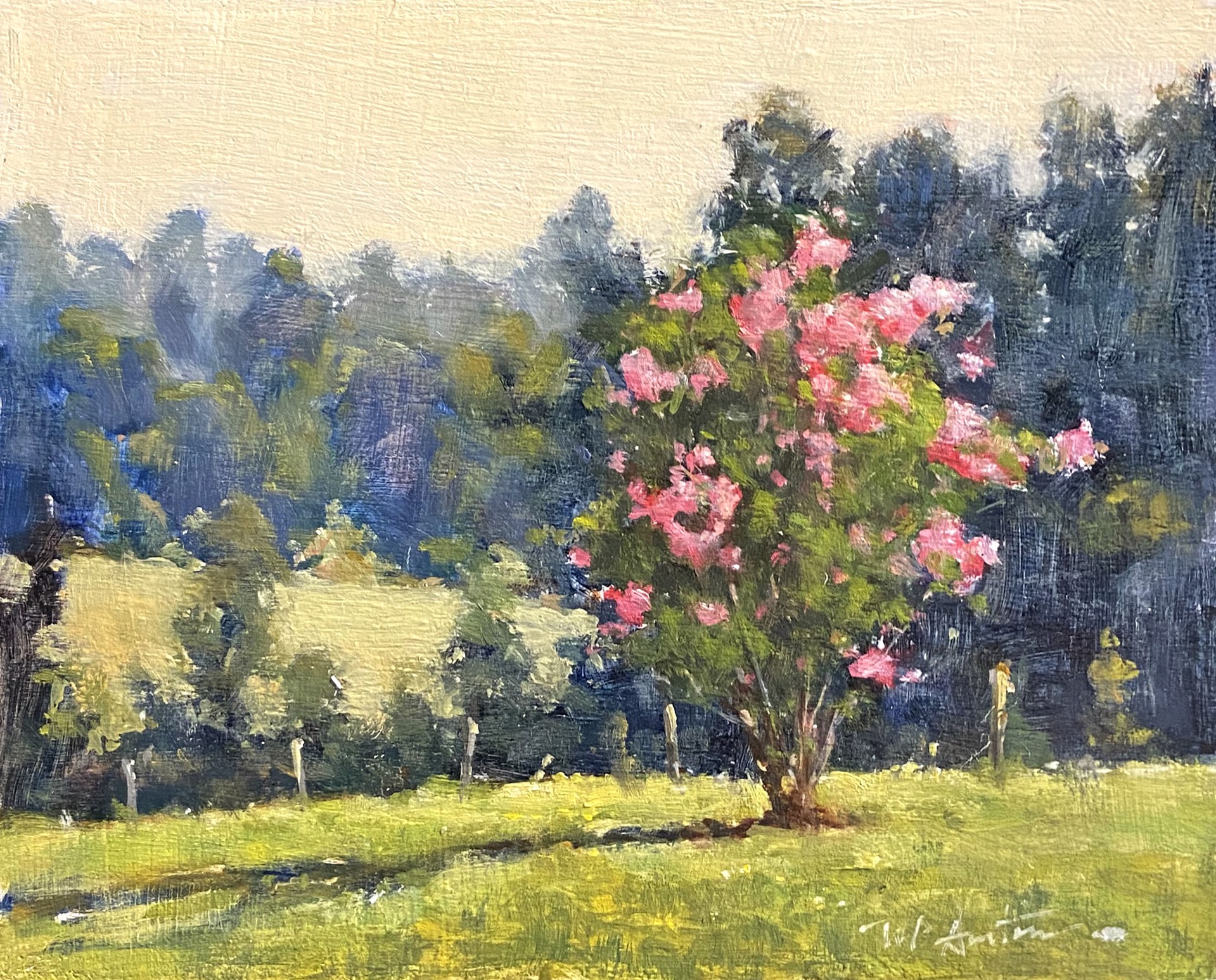 Crepe Myrtle by Perry Austin