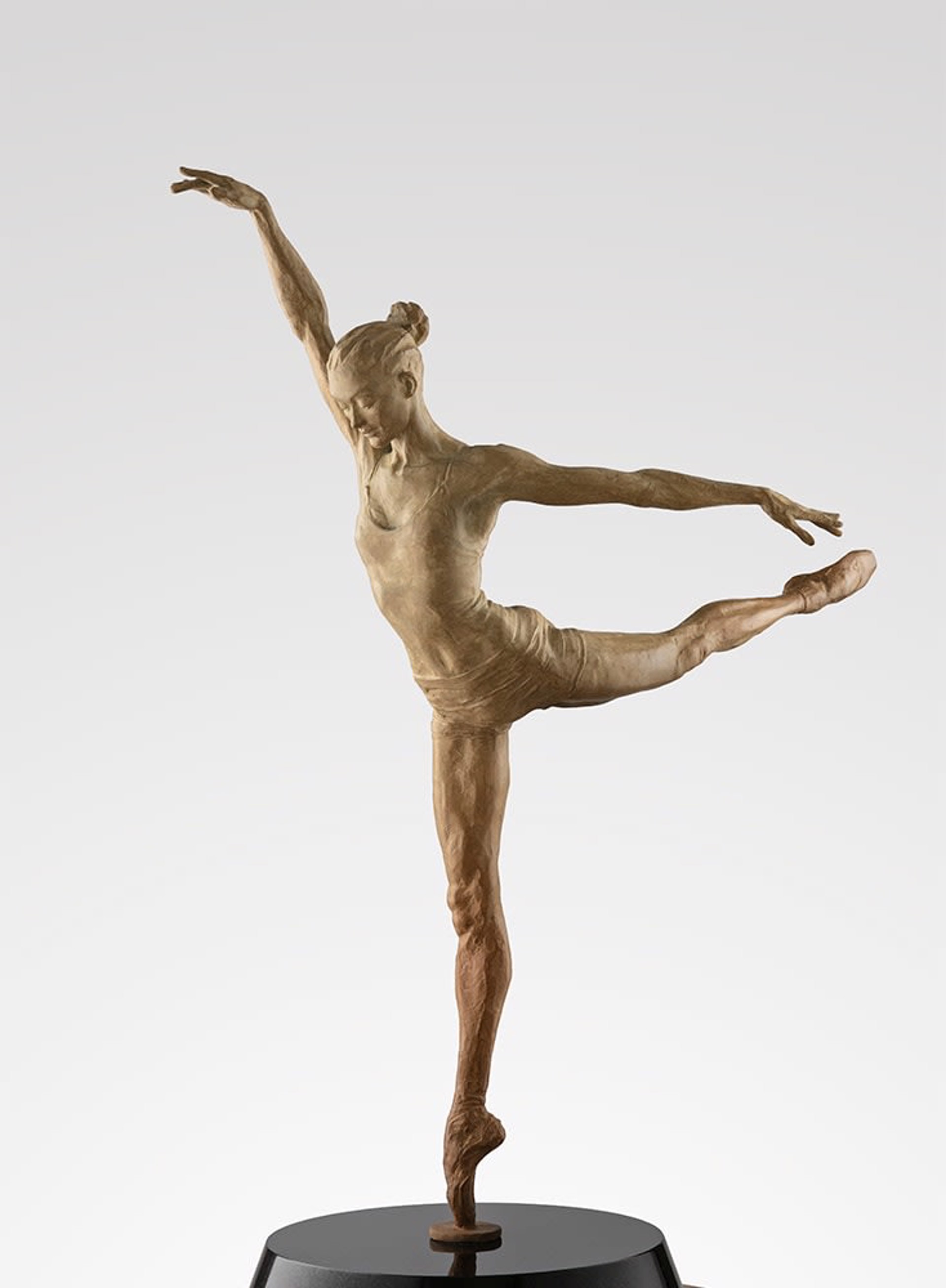 Academia (Maquette) by Paige Bradley