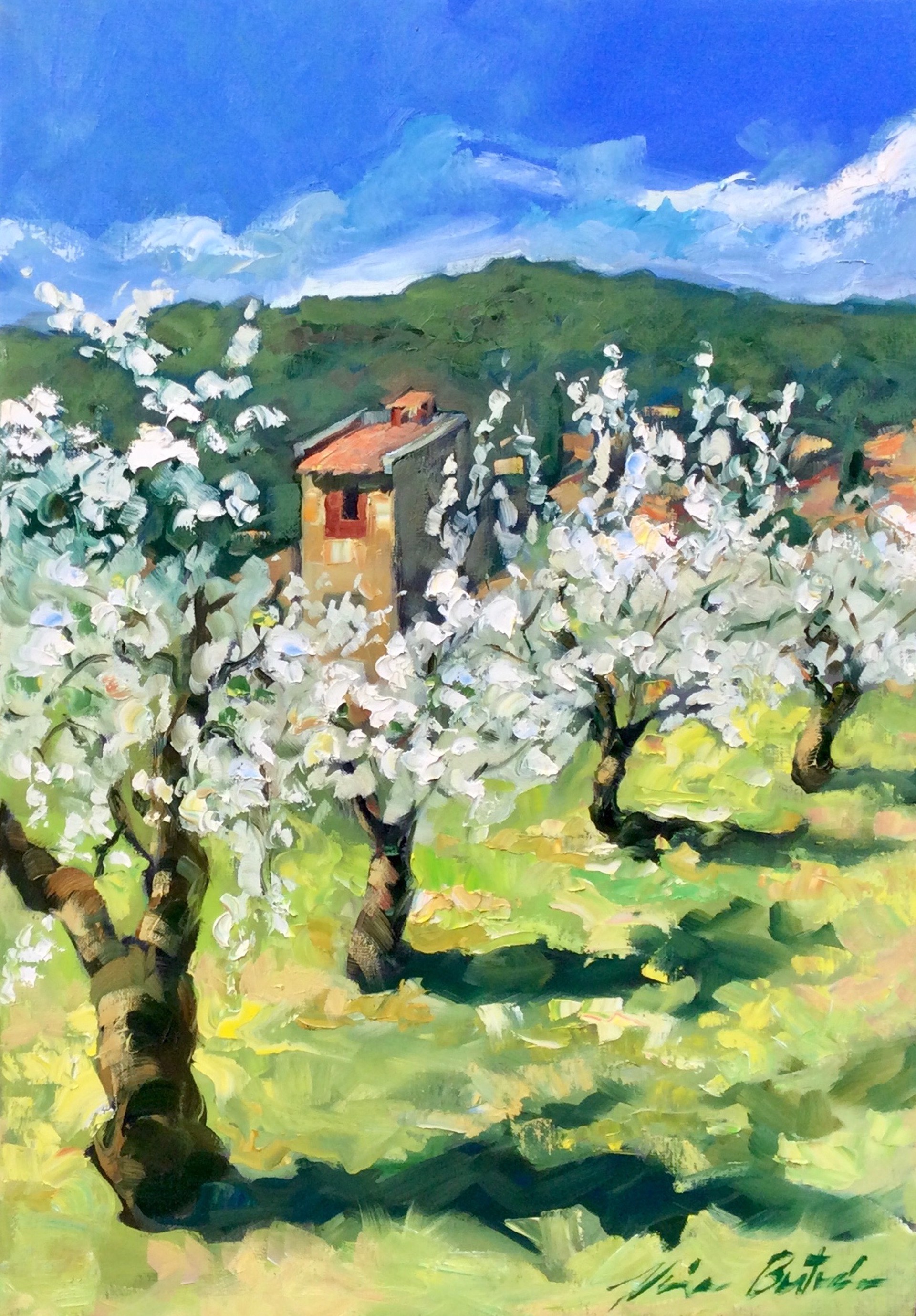Cherry Trees By The Pigionier by Maria Bertrán