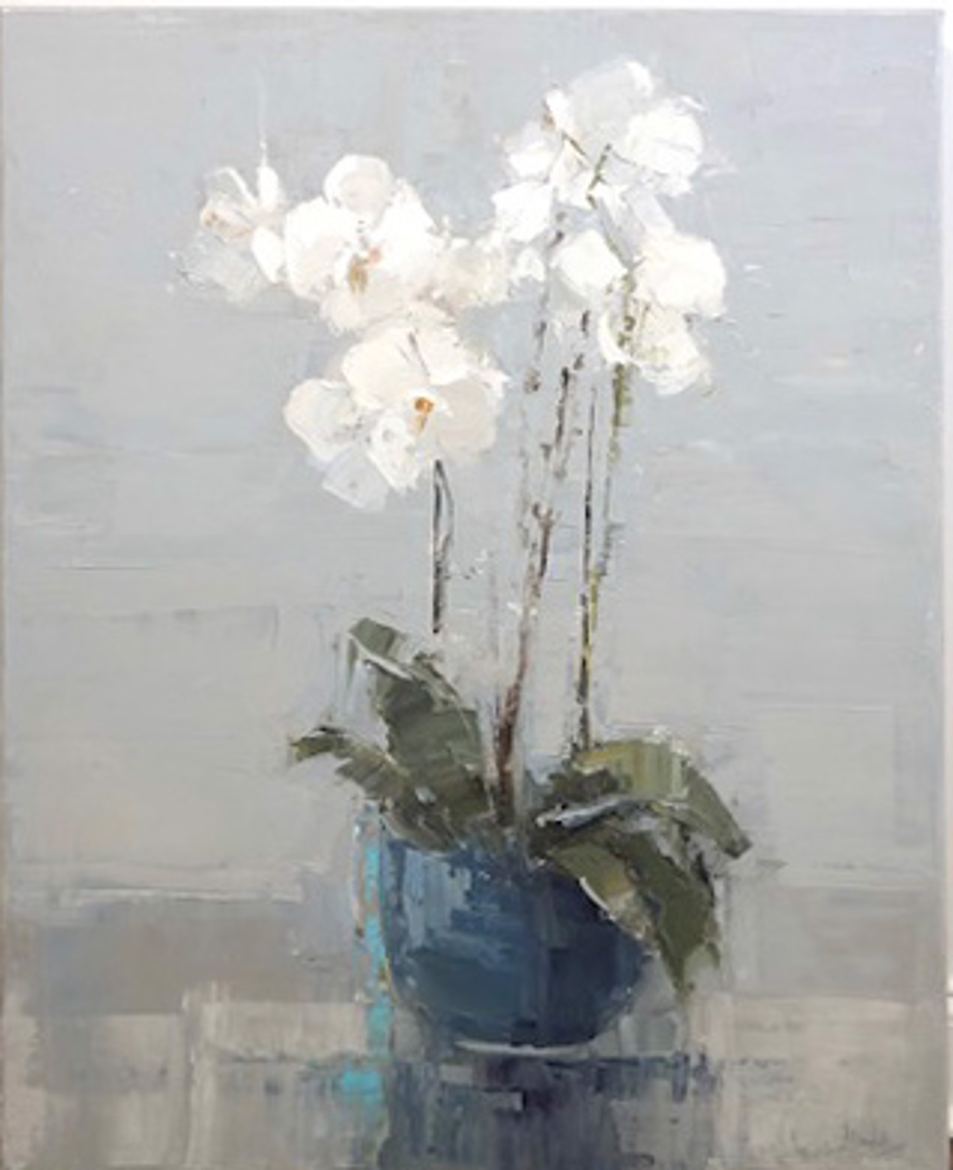 White Orchid by Barbara Flowers