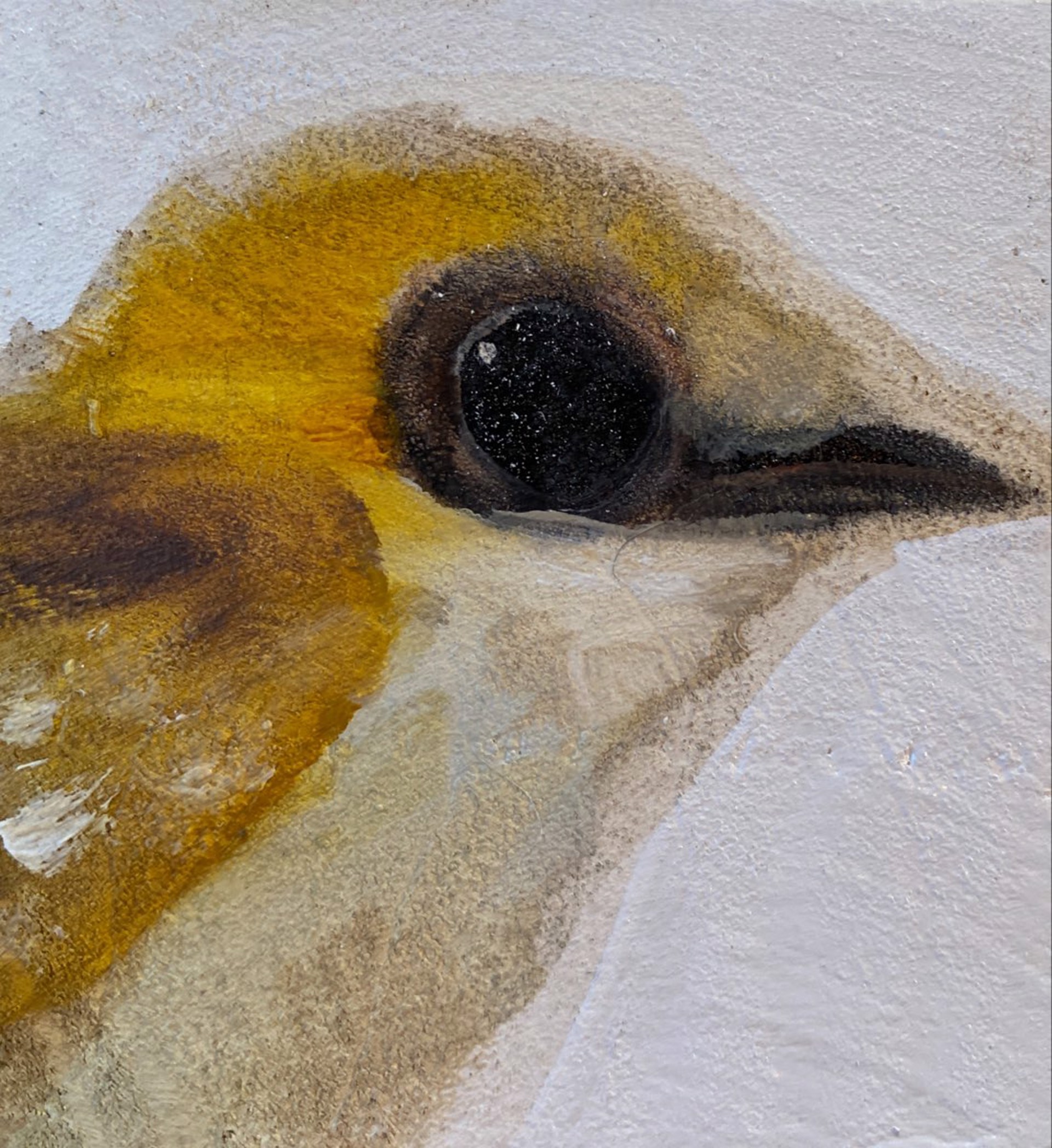 Bird Block (little yellow) by Diane Kilgore Condon