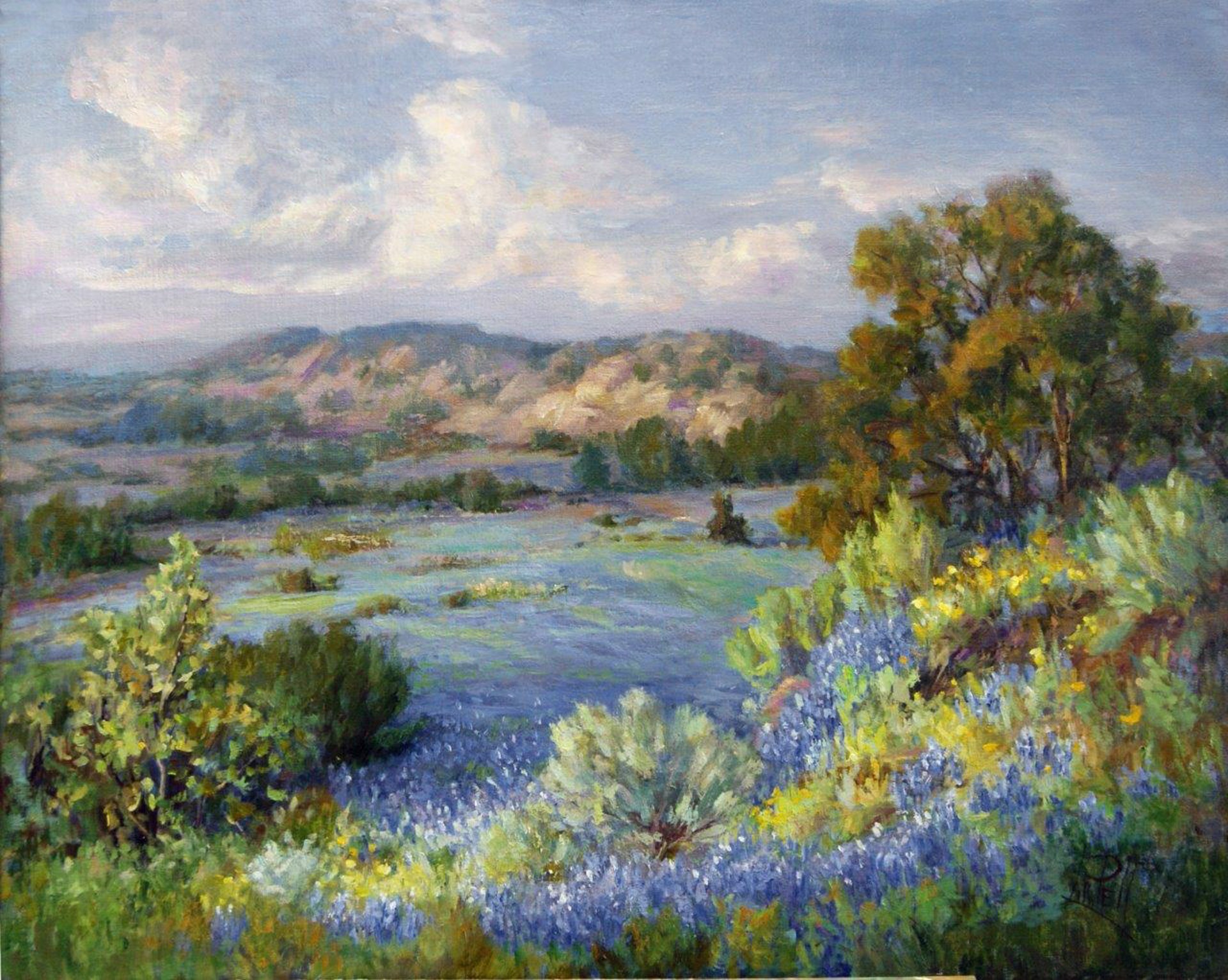 Bluebonnets in the Hills by Lilli Pell