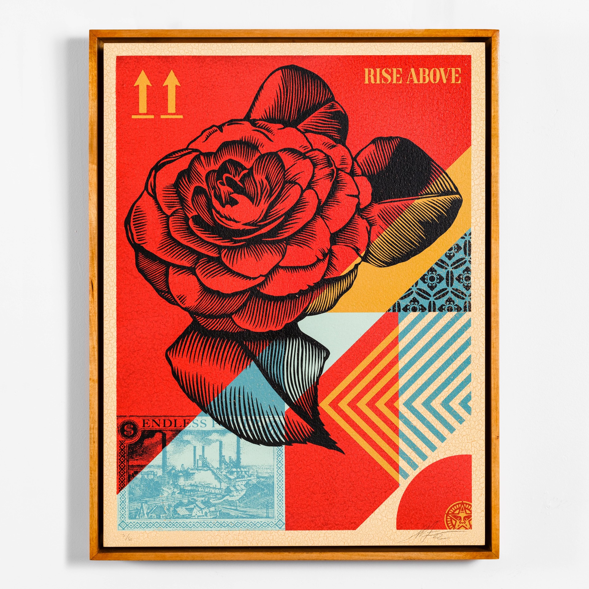 Rise Above Flower by Shepard Fairey / Limited editions
