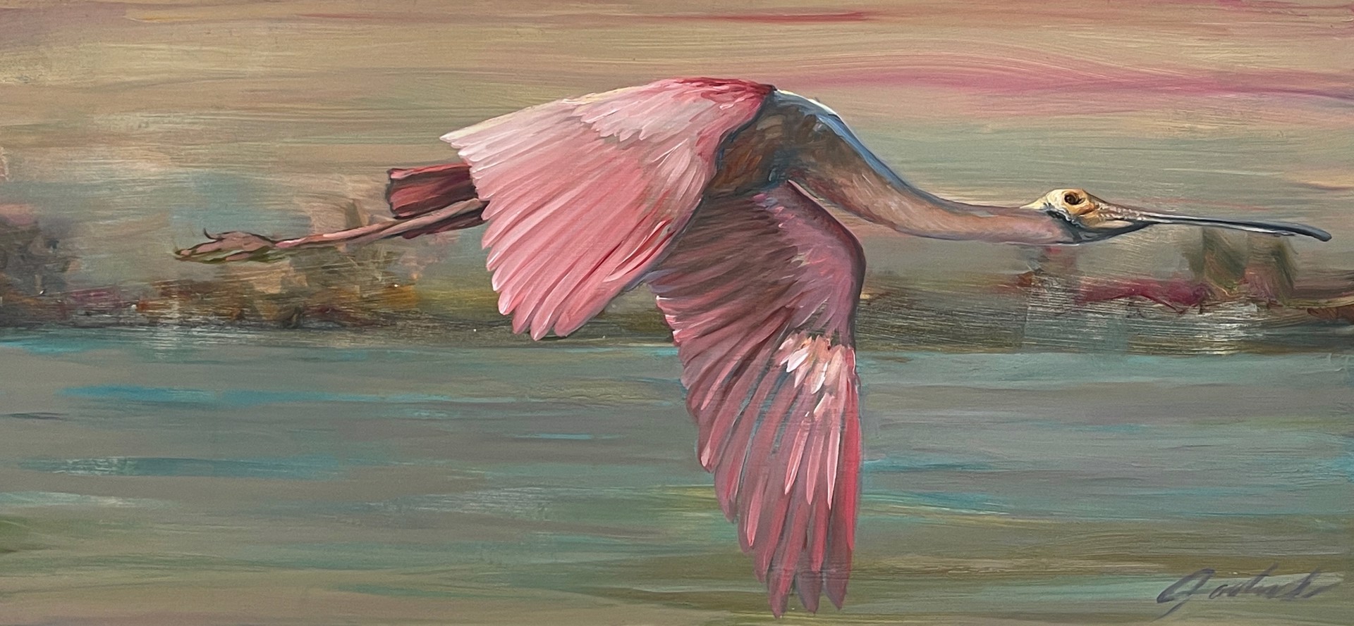 Flying Spoonbill Study by Carrie Jadus