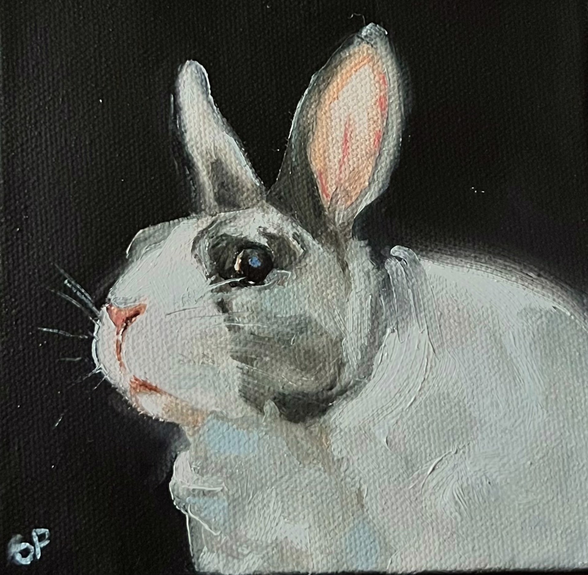 Bunny by Shelly Presley