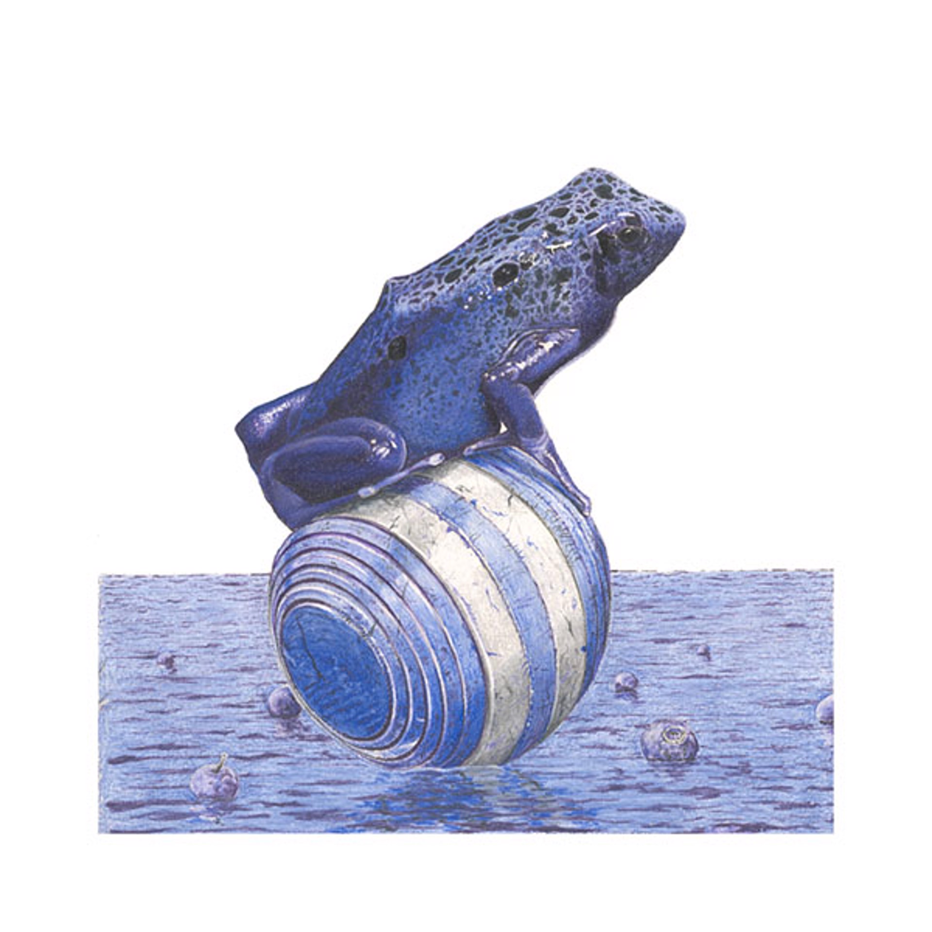 Blue Frog Giclee Print by Paul Van Heest