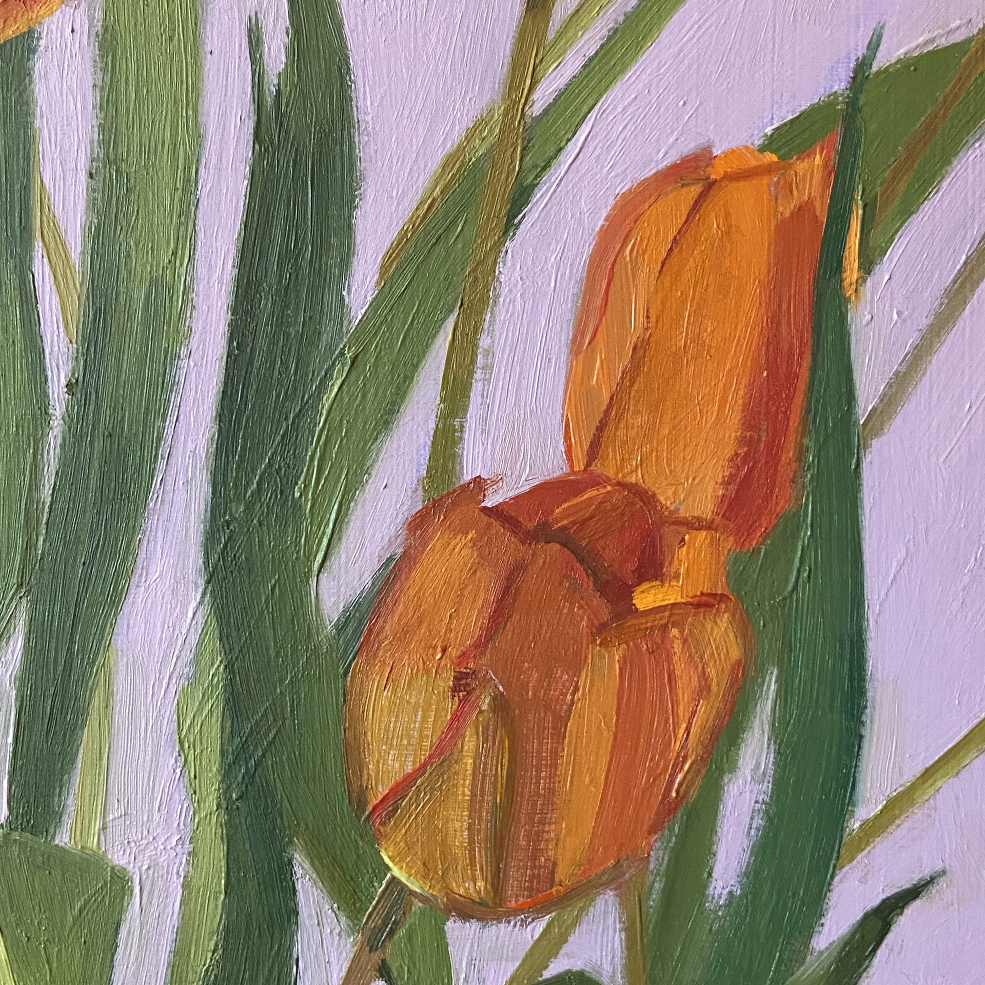 Orange Tulips by Christina Renfer Vogel