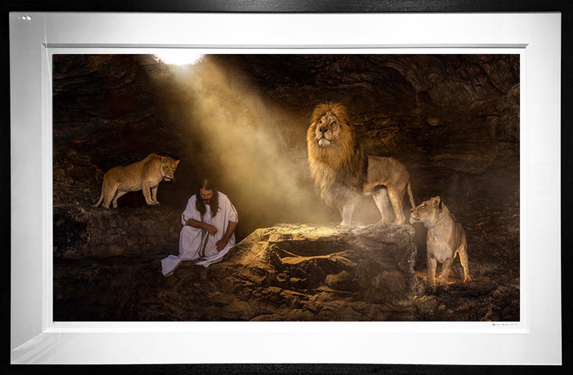The Book of Daniel Colour by David Yarrow