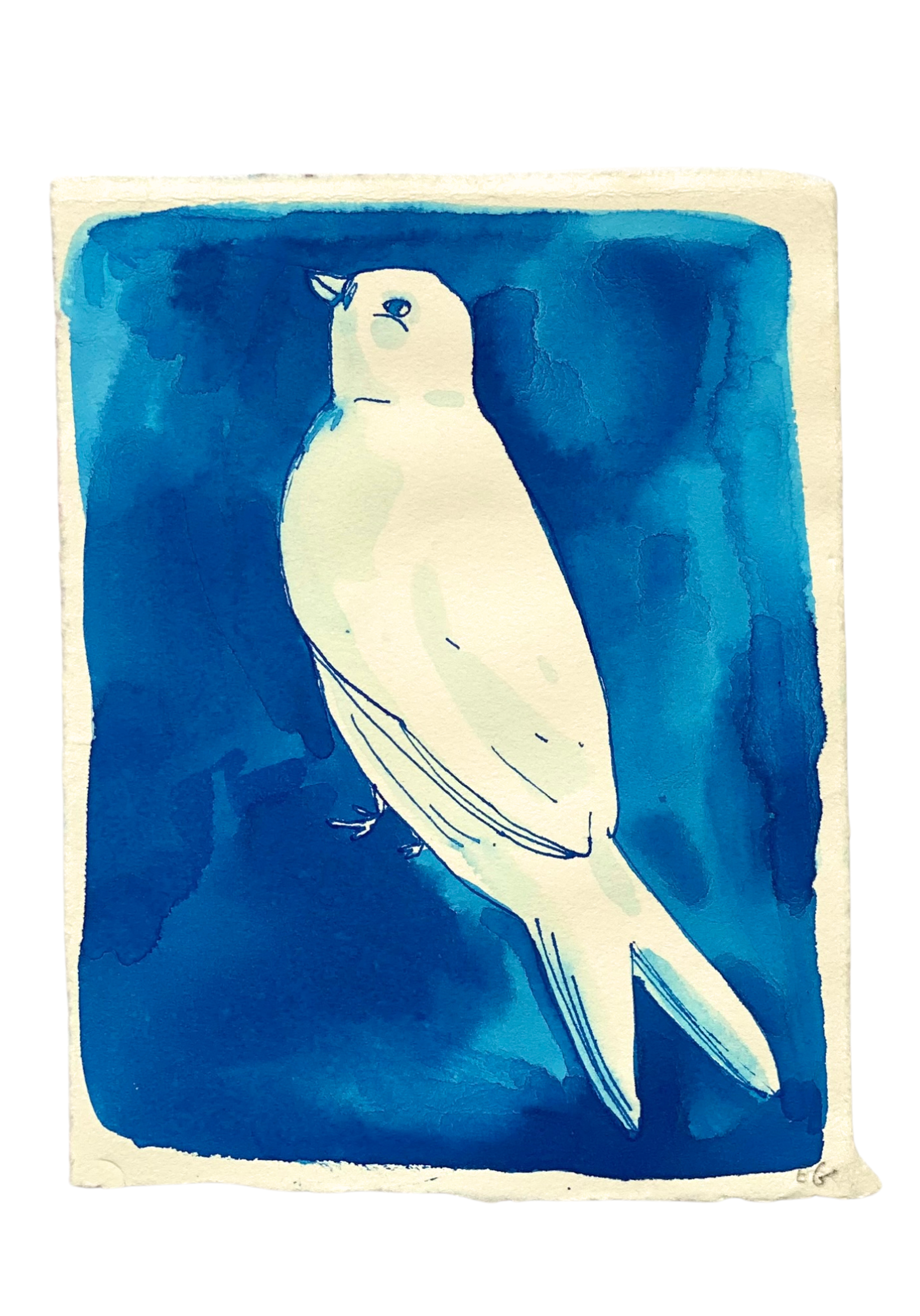 Blue Inkwash Bird #4 by ELIZABETH GRAEBER