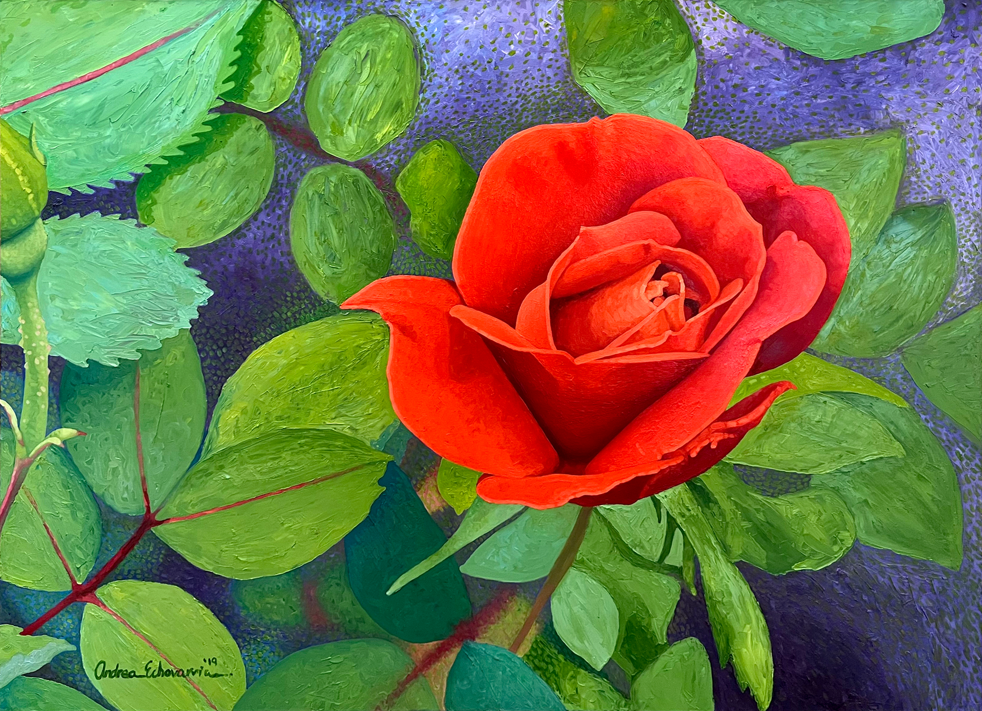 Rosemont Rose by Andrea Echavarria