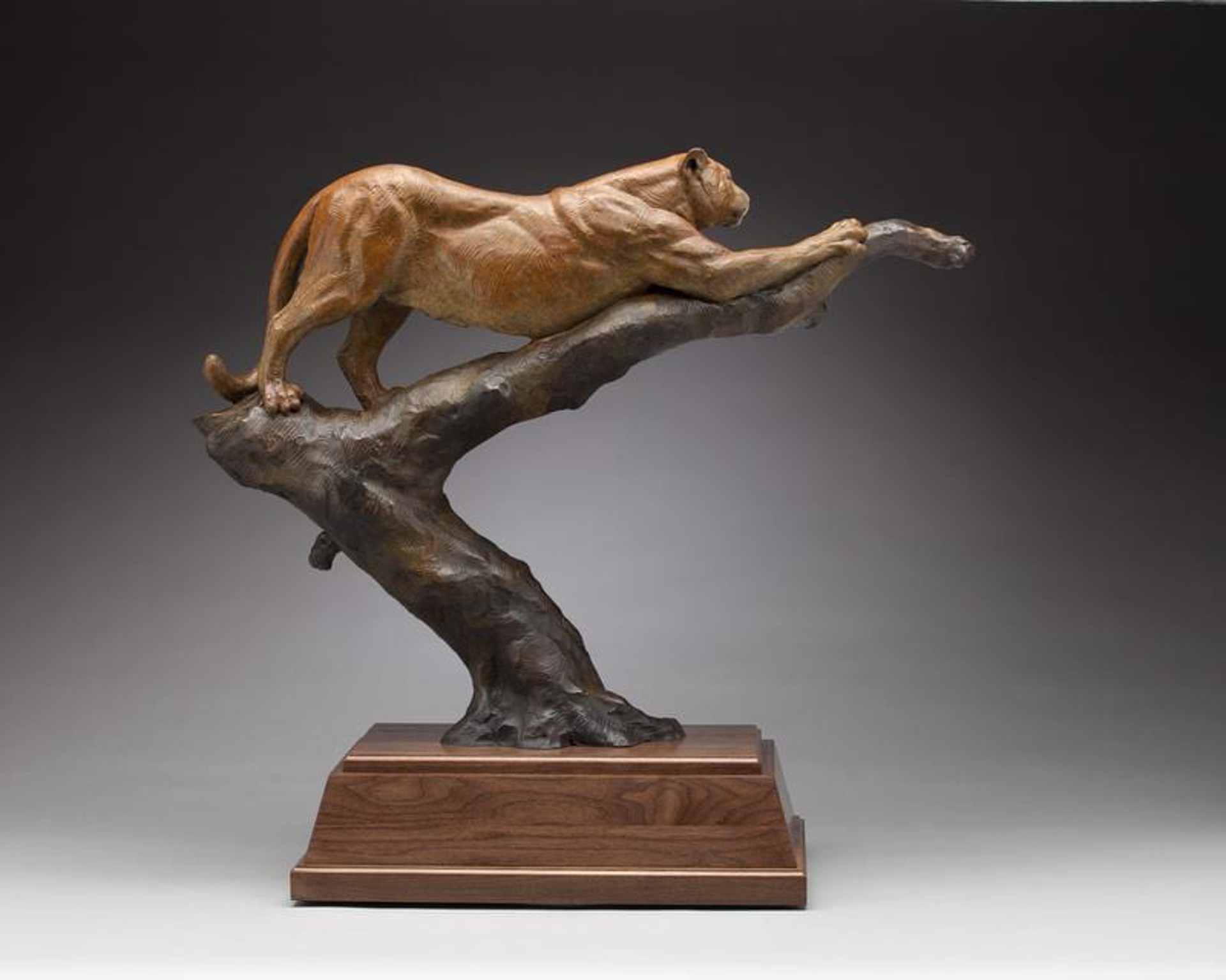 Tree Top Stretch by Daniel Glanz (sculptor)