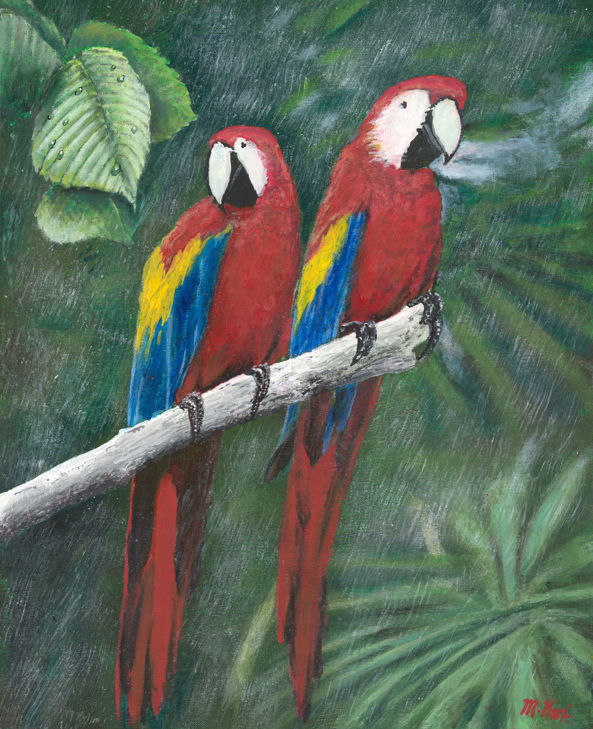 Macaw of the Wild by Mike Knox