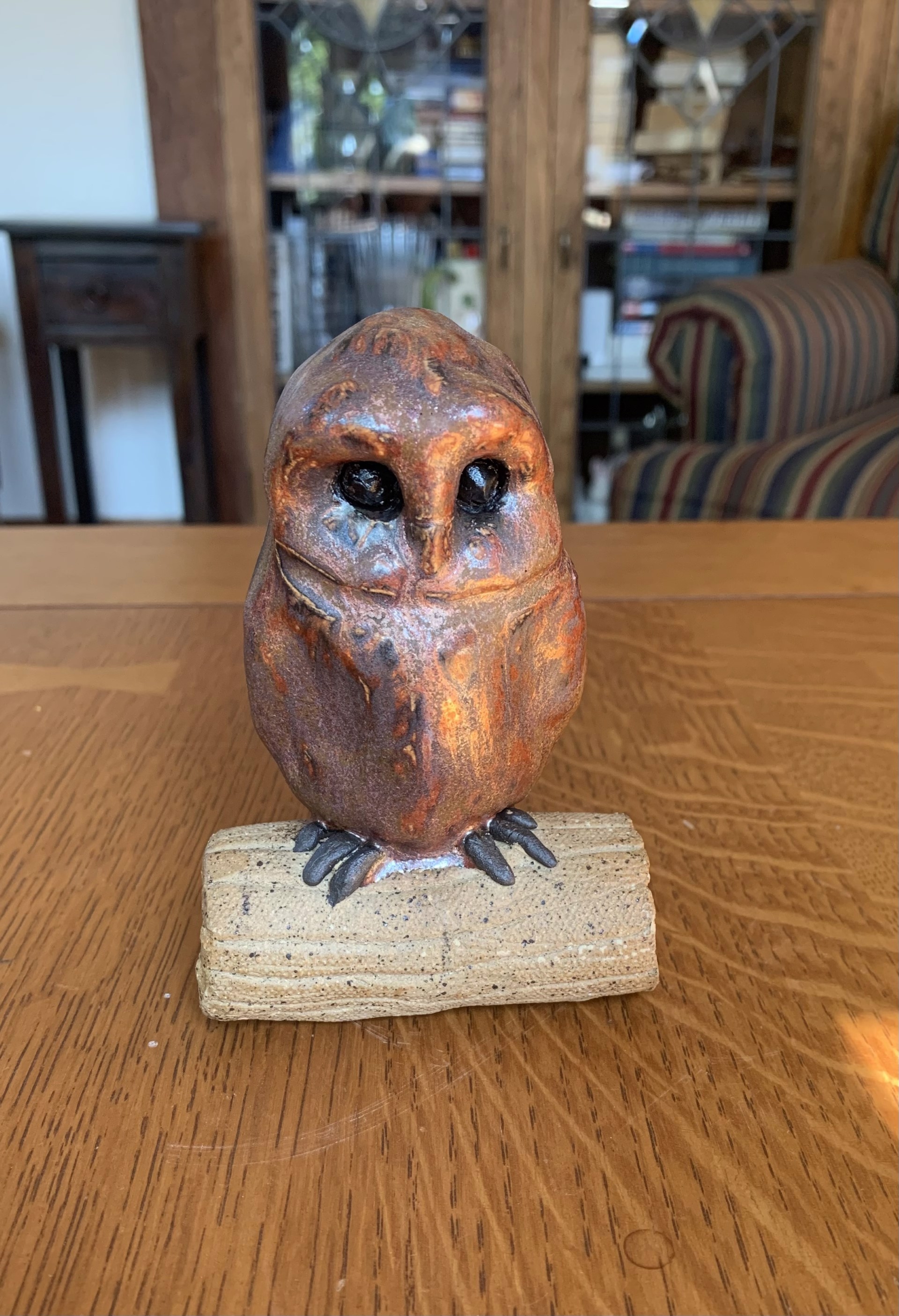 Ancient Copper Pygmy Owl by Michael Hagan