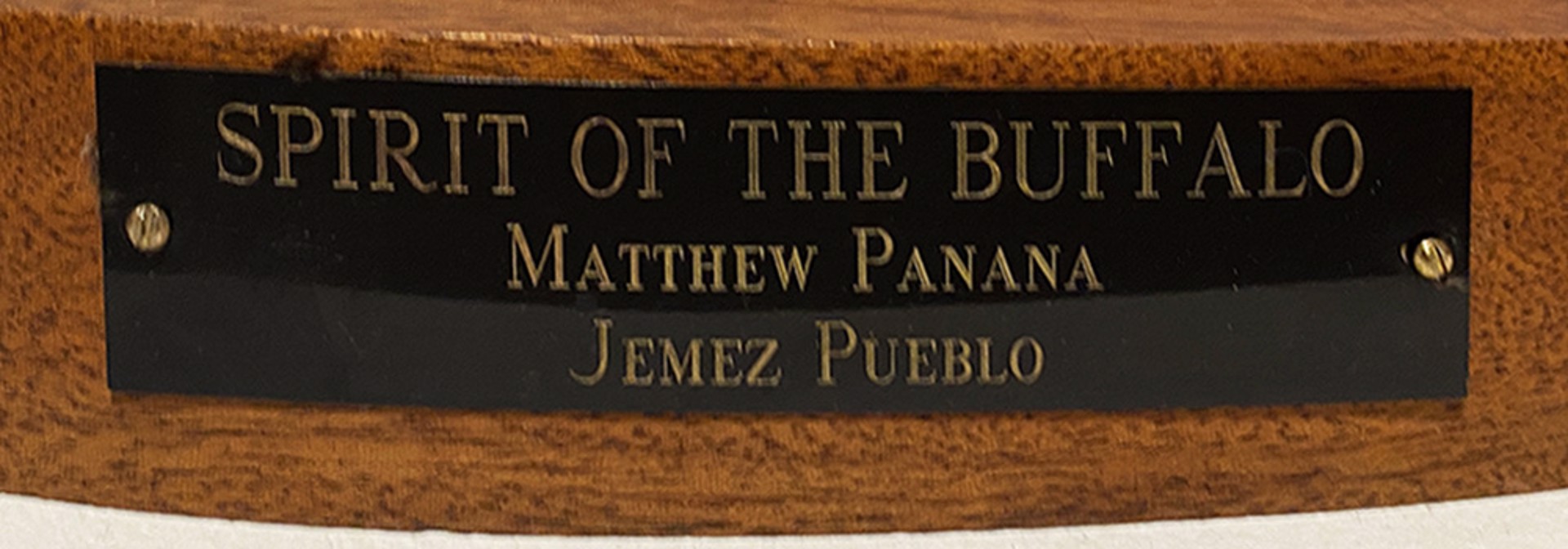 Spirit of the Buffalo by Matthew Panana