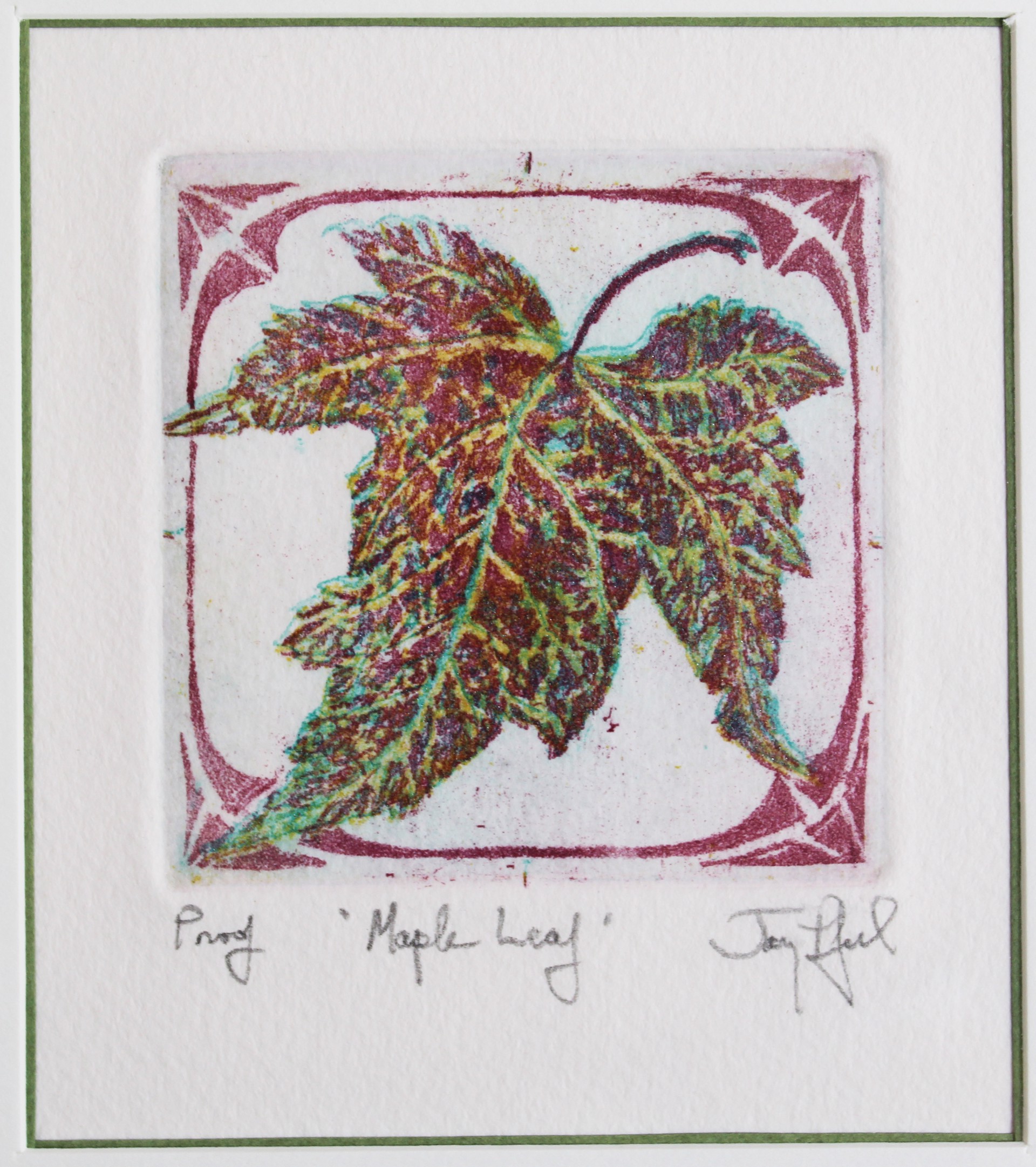 Maple Leaf by Jay Pfeil