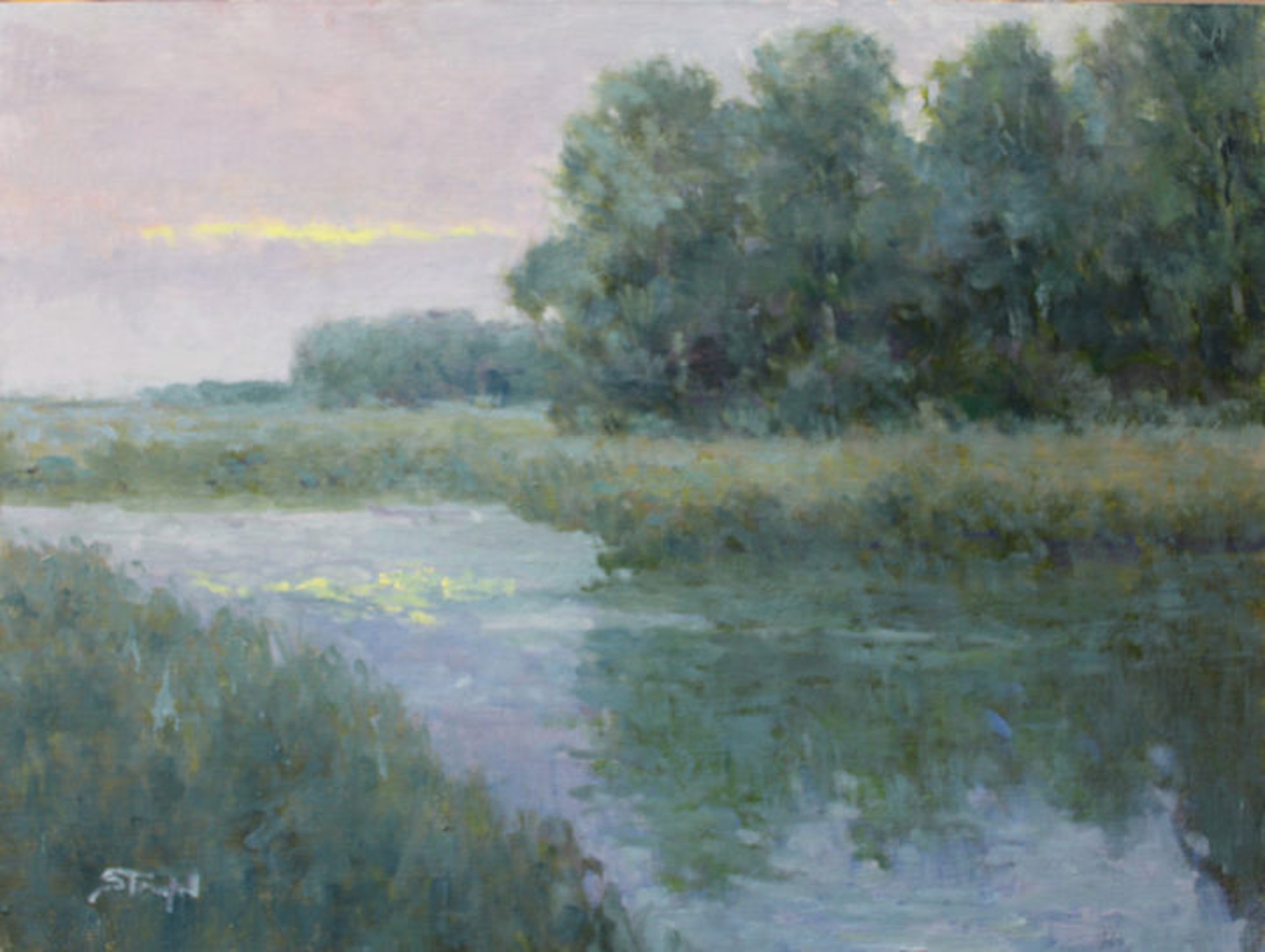 Cool Marsh by John Stanford