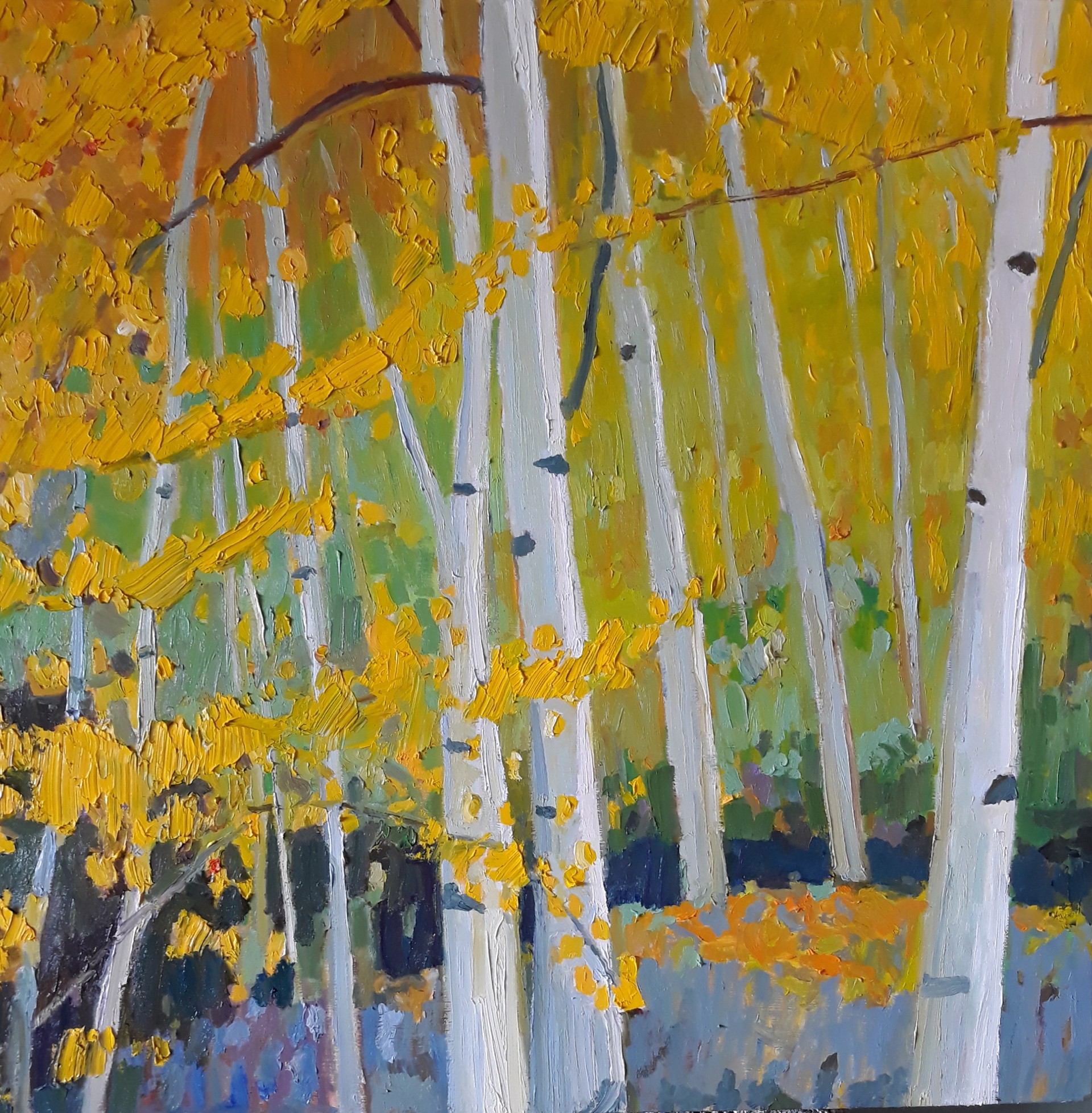 Fall Aspen Grove by Ryan Cannon