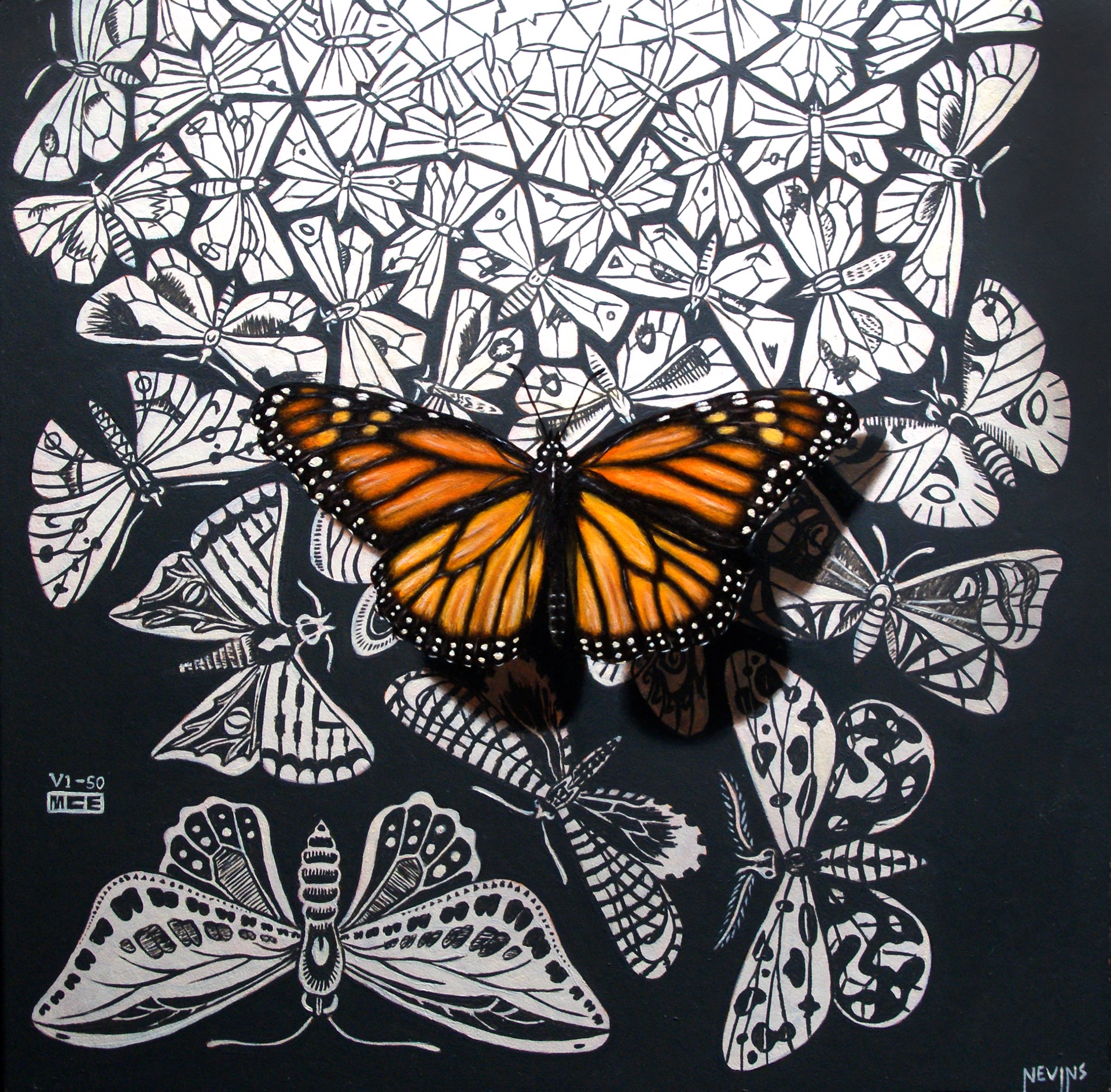 Escher's Monarch by Patrick Nevins