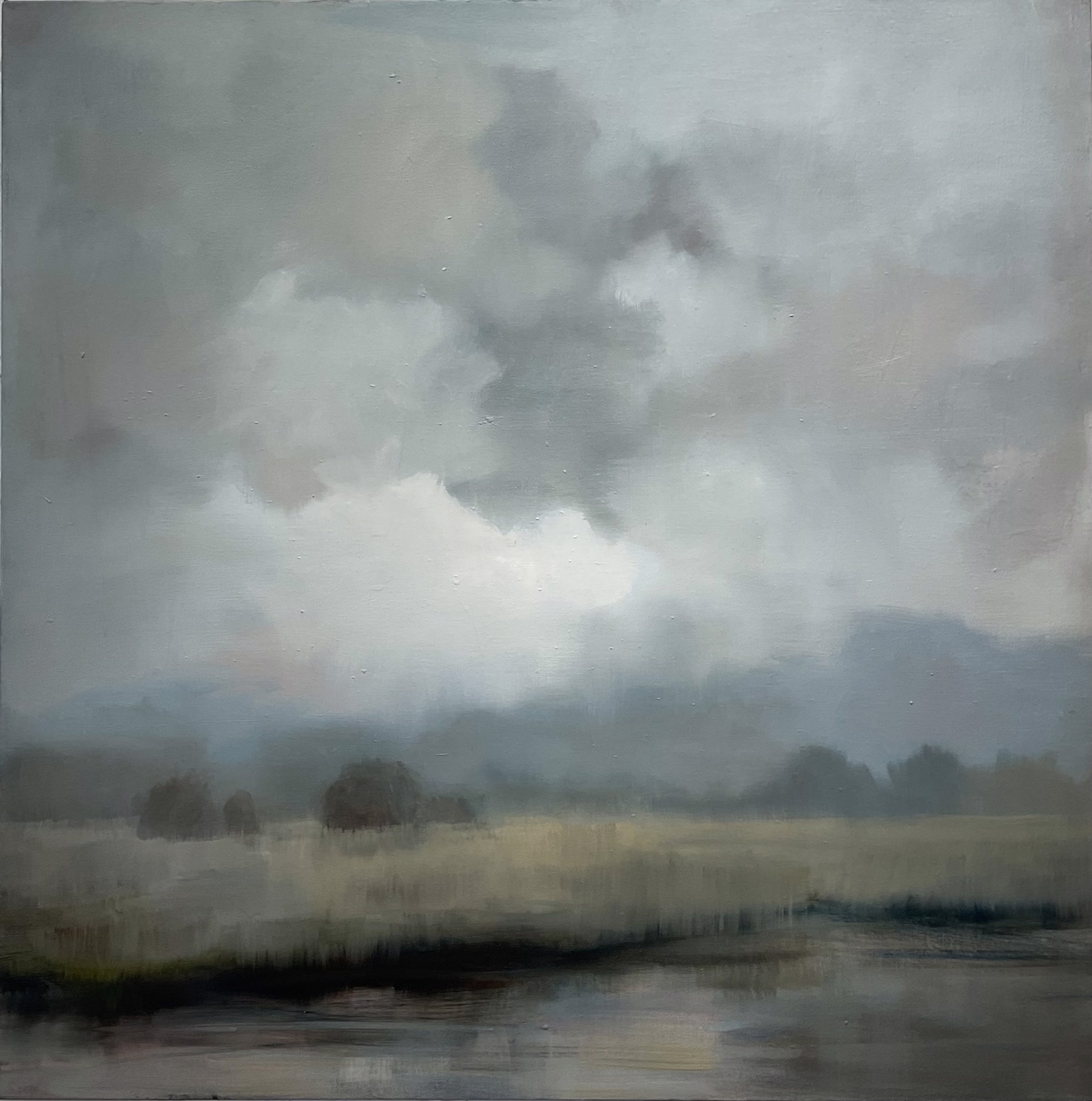 Passing Storm by Donna Hughes