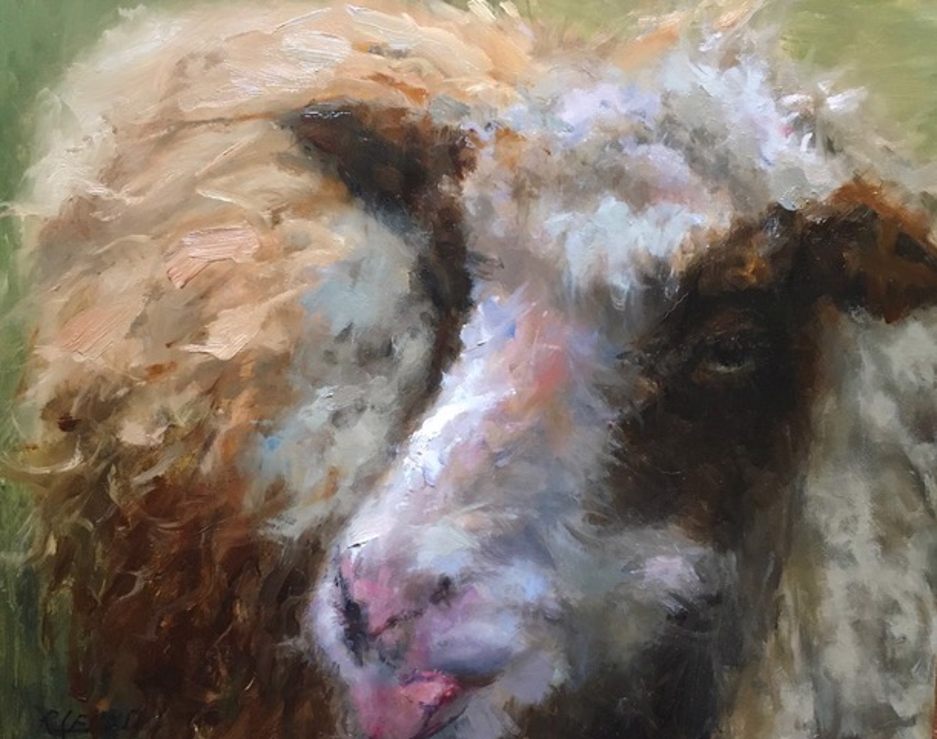 Sheep by Rosanne Cerbo