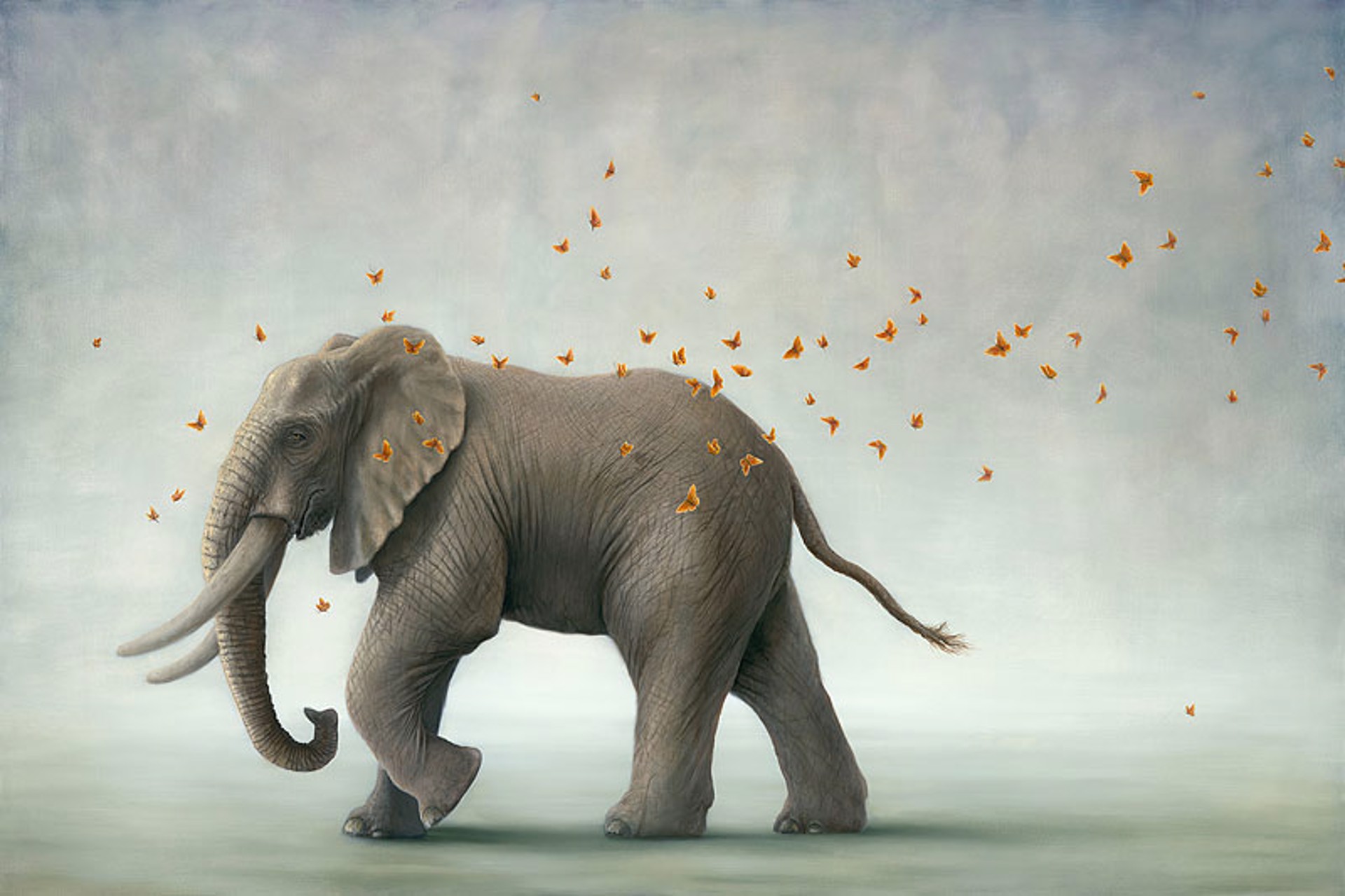 Hero I  -(Elephant) by Robert Bissell