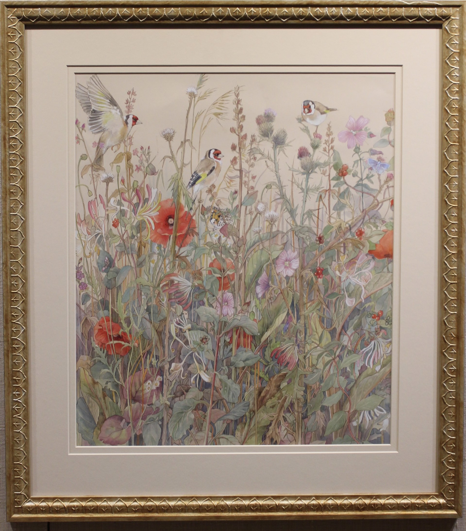 GOLDFINCH IN SUMMER MEADOW, ENGLAND by Emma Faull