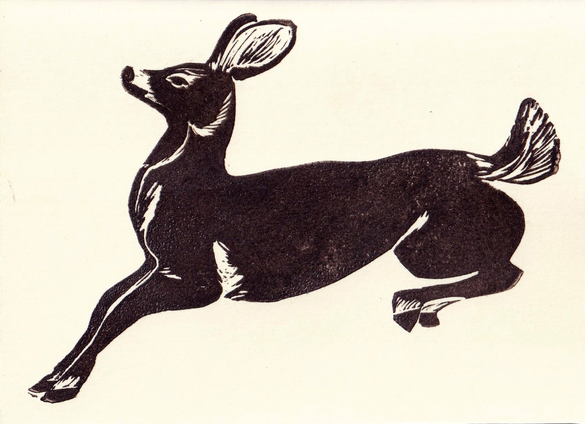 Deer Card by Kat Kinnick