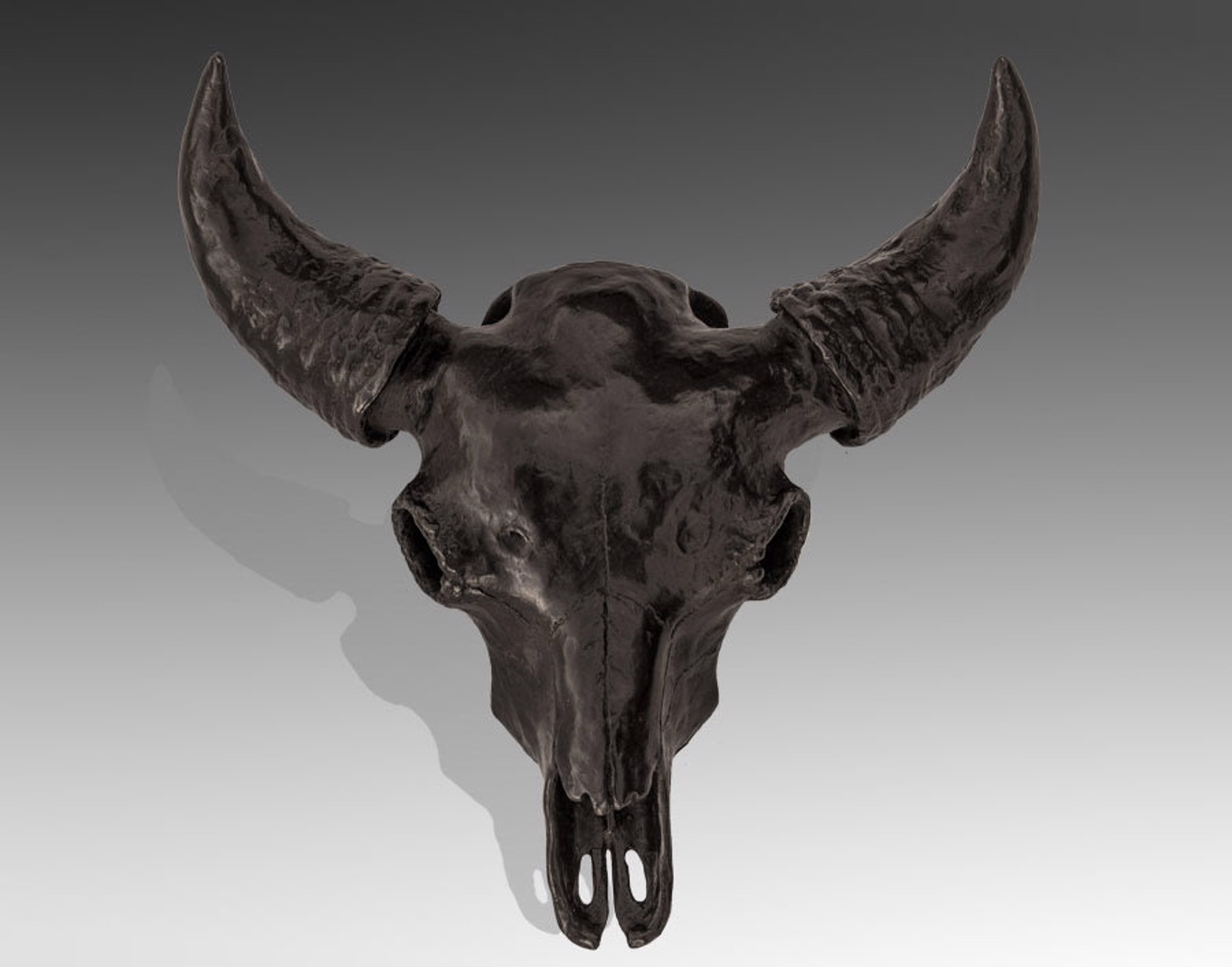 BISON SKULL by Mike Barlow