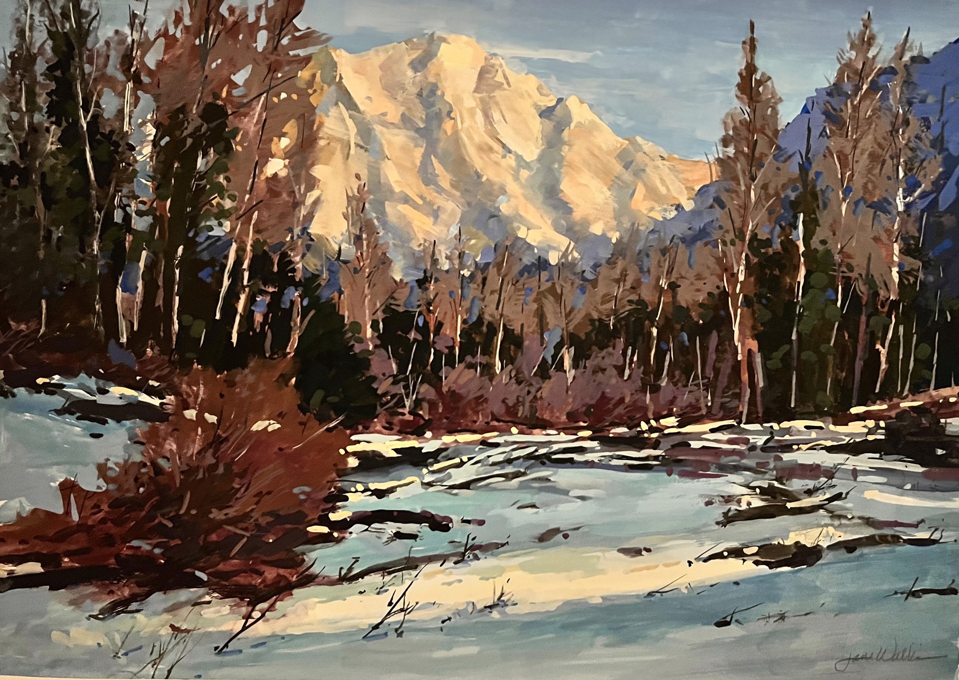 Cascade Snowfall by Jane Wallis