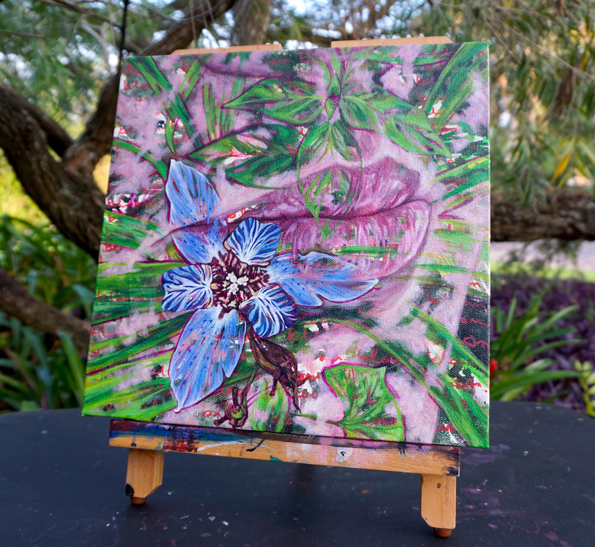 Bloom-Logan-Mead Gardens, Florida by Amanda Seckington