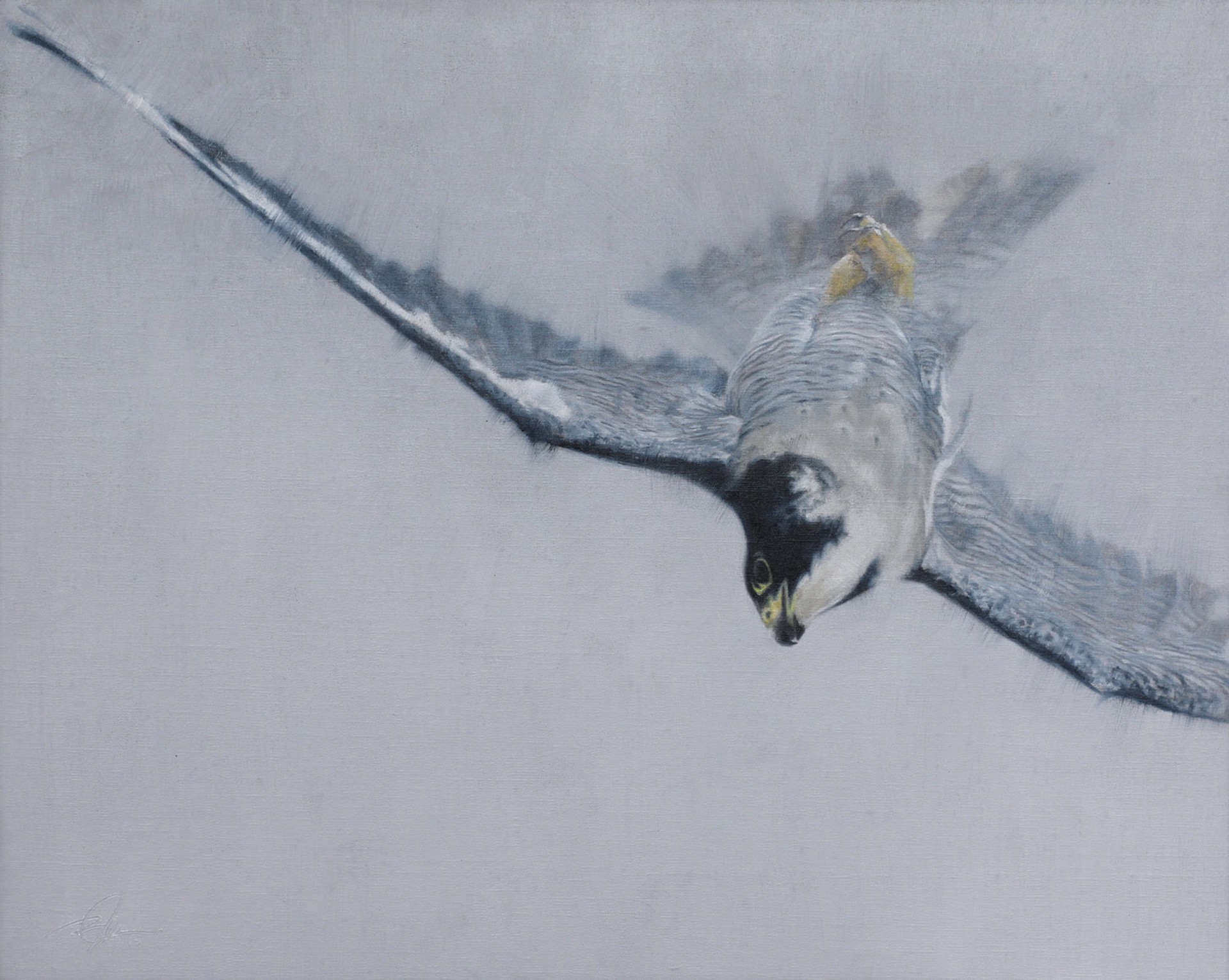 A Contemporary Black And White Painting Of A Peregrine Falcon In Flight By Doyle Hostetler At Gallery Wild
