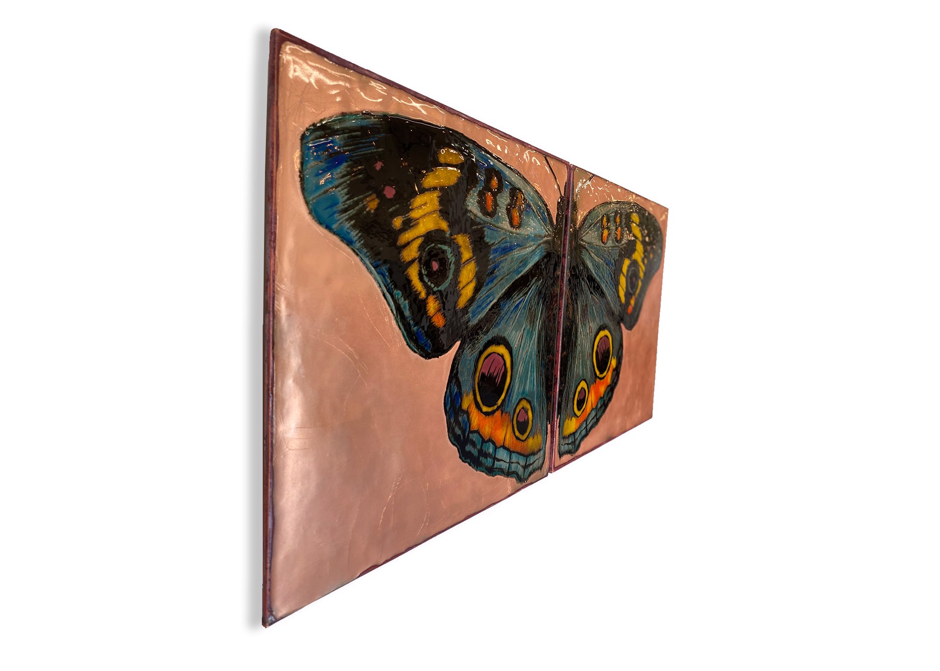 On the Wings ~ Limited Edition by Houston Llew Limited