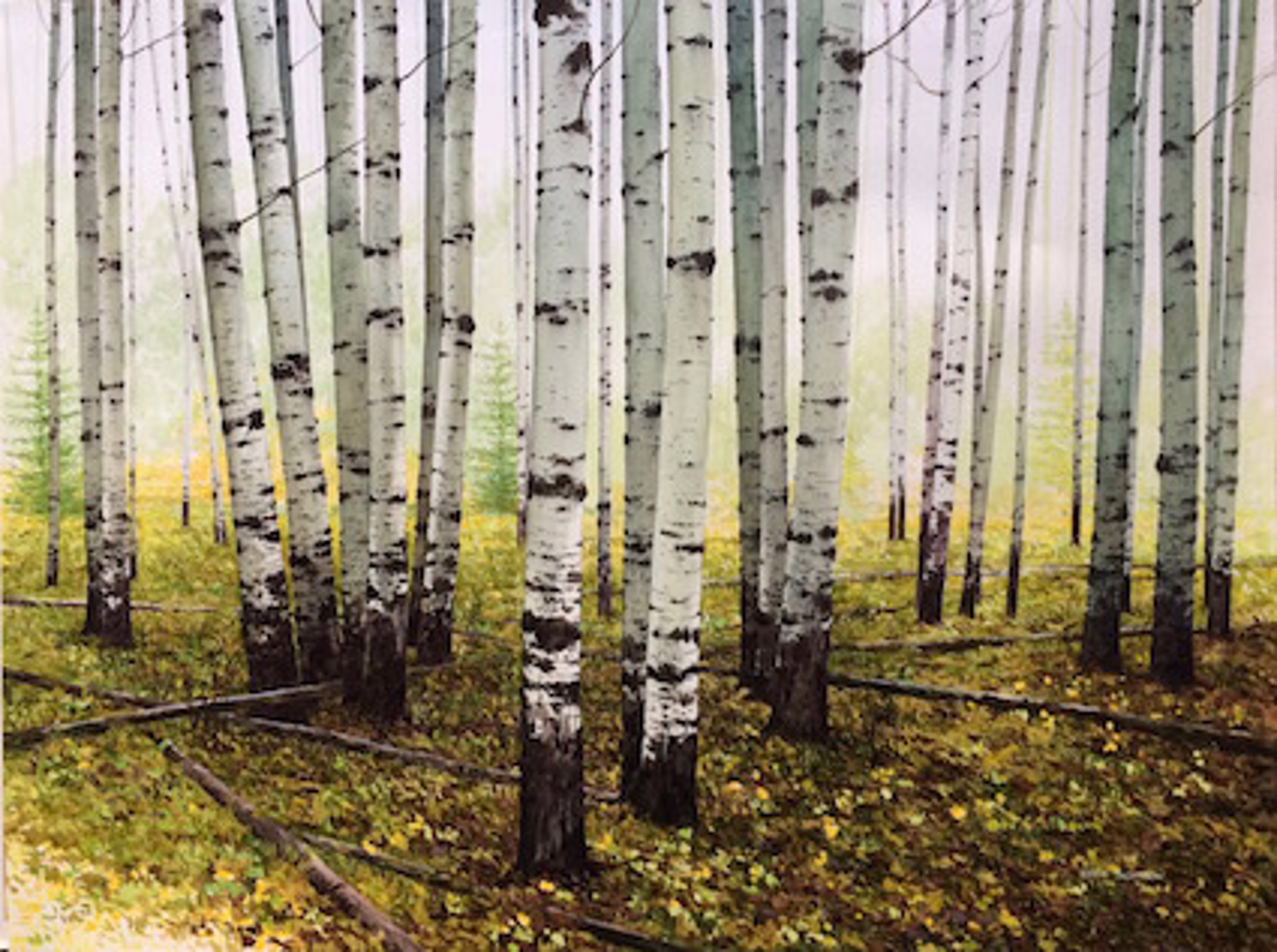 Fallen Leaves by Keith Thomson