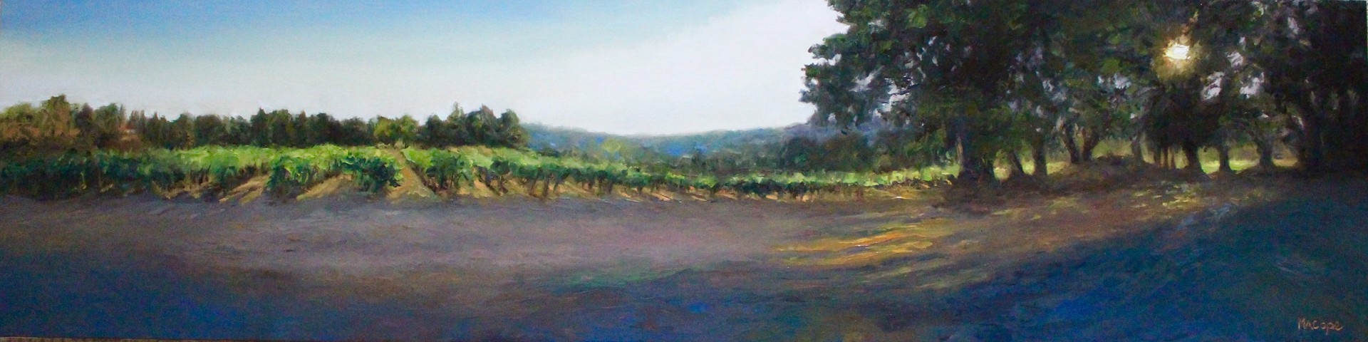 Bella Vista Vineyard by Mary Ann Cope