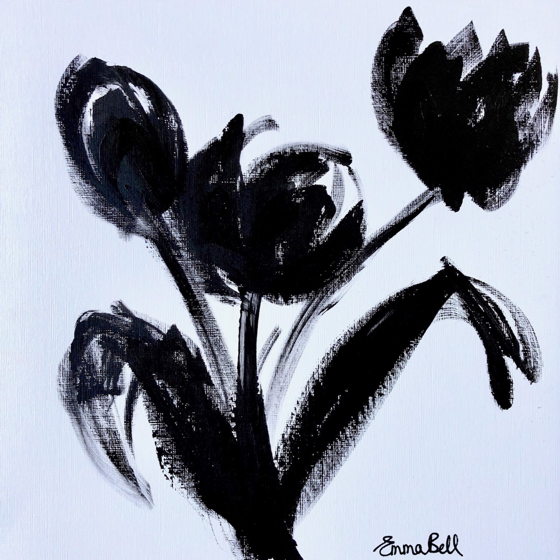 Black & White 3 Tulips  by Emma Bell