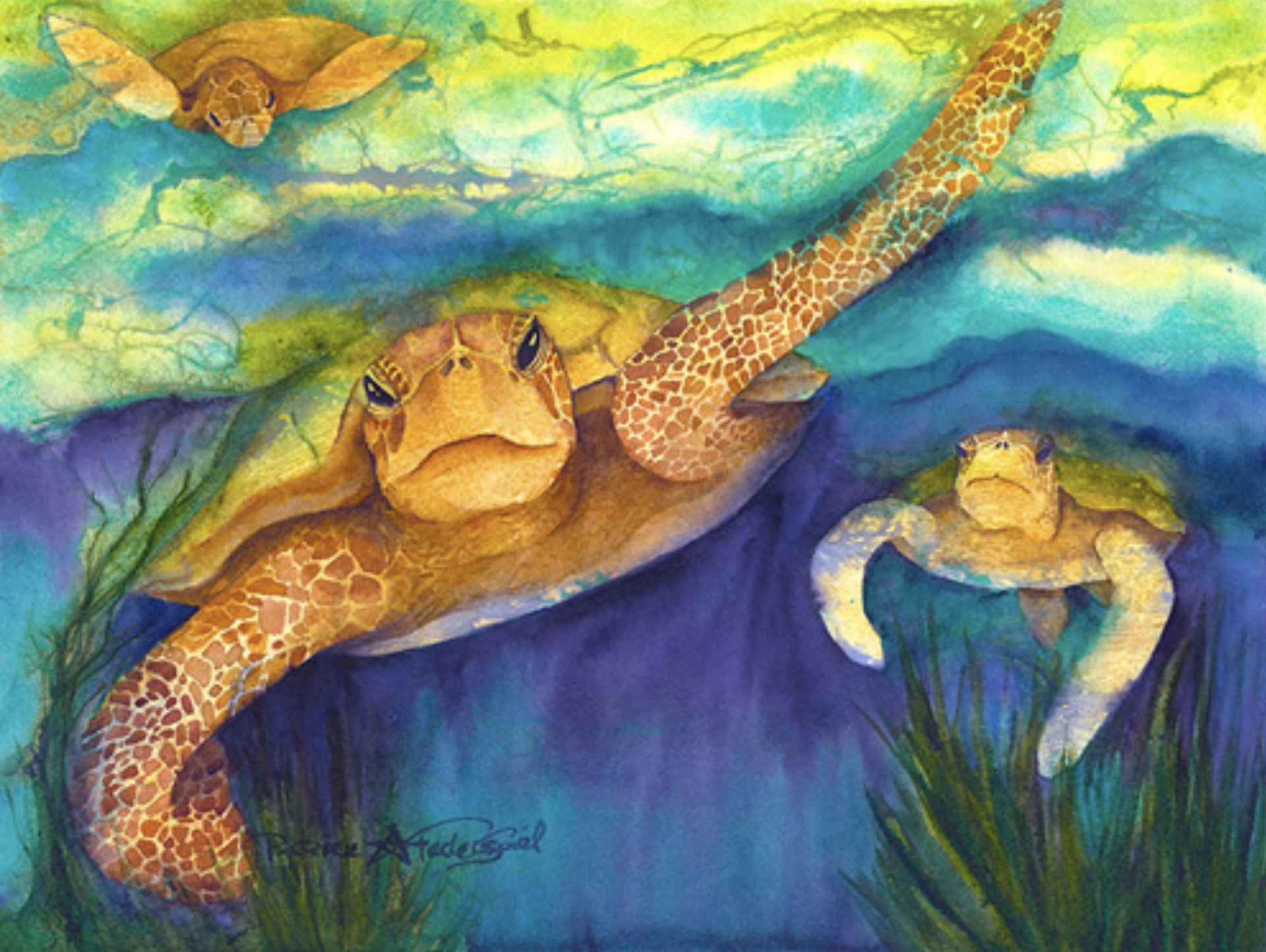 Feels Like Flying by Patrice Ann Federspiel